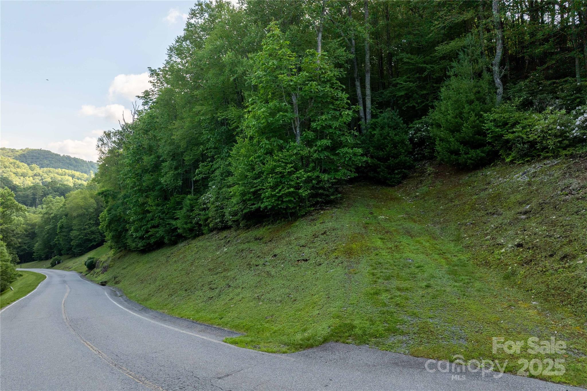 TBD Lot 108 Firethorn Trail 108 Property Photo 1