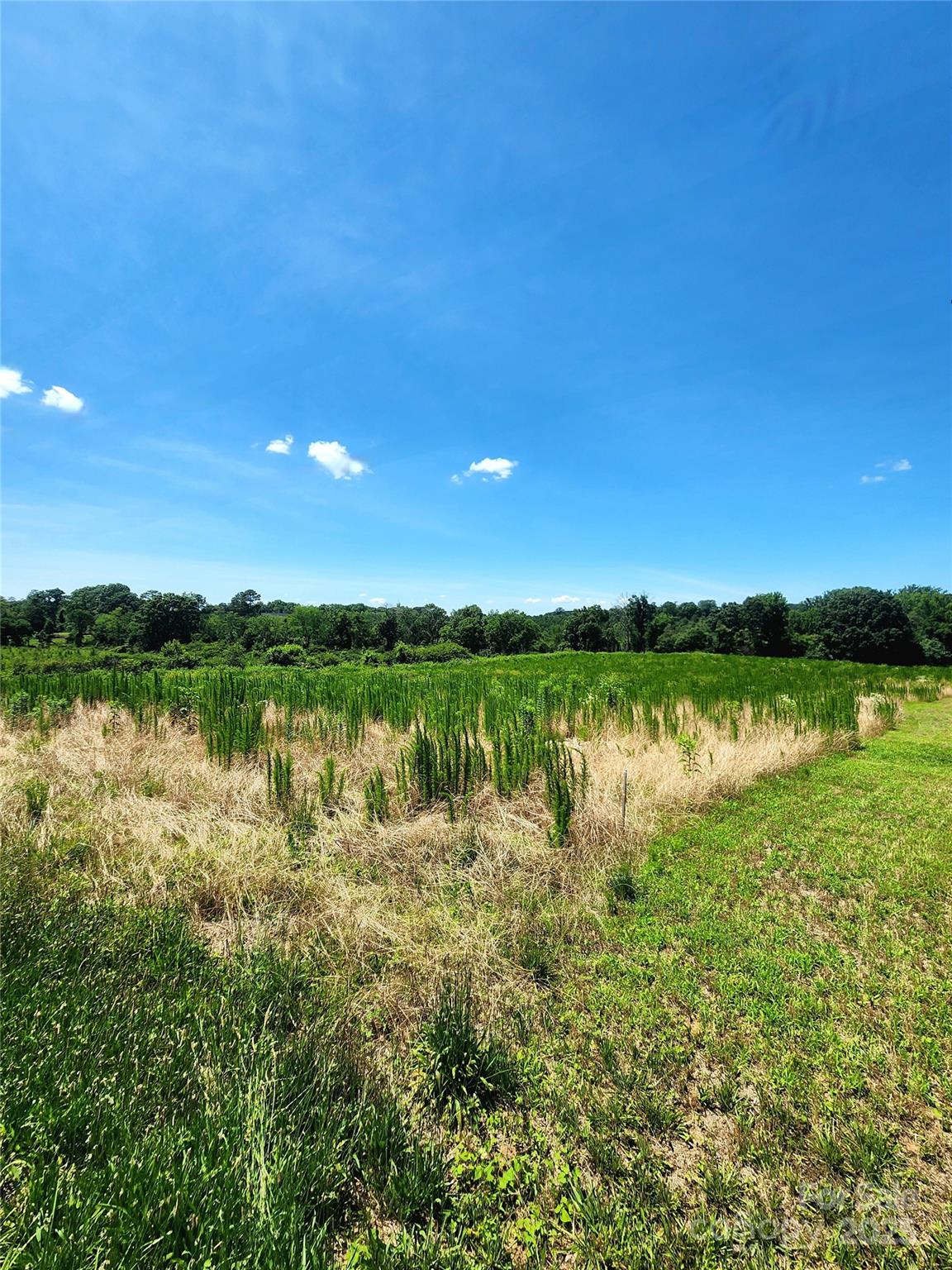 28681 Hatley Farm Road Property Photo 1