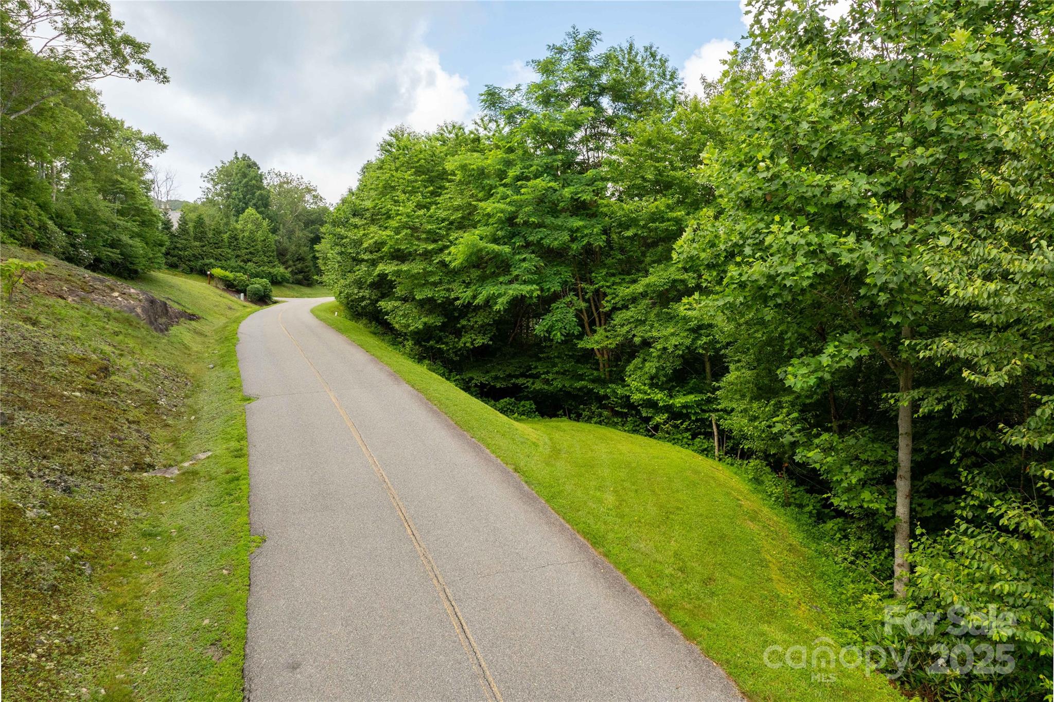 Tbd Lot 121 Firethorn Trail 121 Property Photo 2