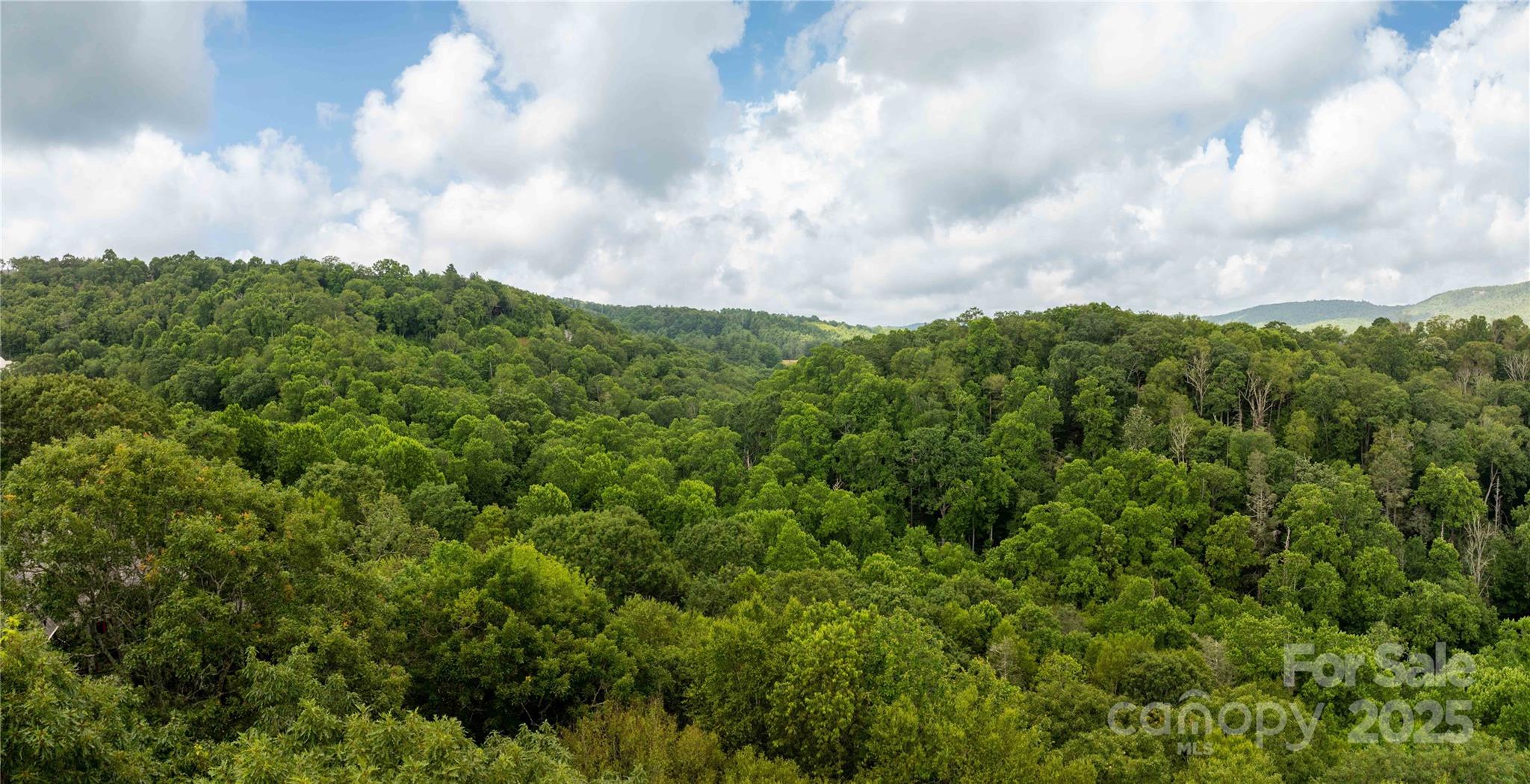 Tbd Lot 121 Firethorn Trail 121 Property Photo 8