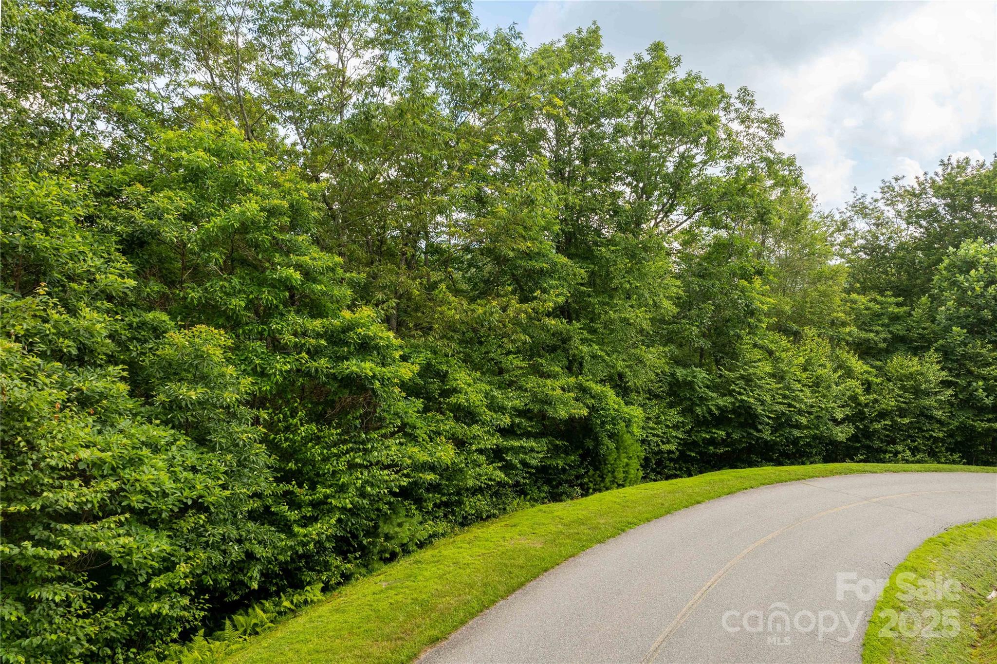 TBD Lot 122 Firethorn Trail 122 Property Photo 1
