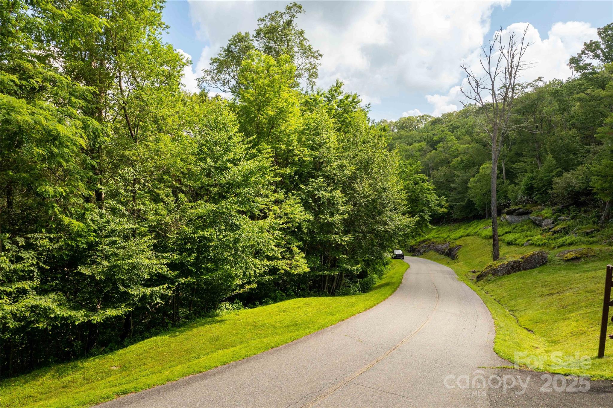 Tbd Lot 124 Firethorn Trail 124 Property Photo 1
