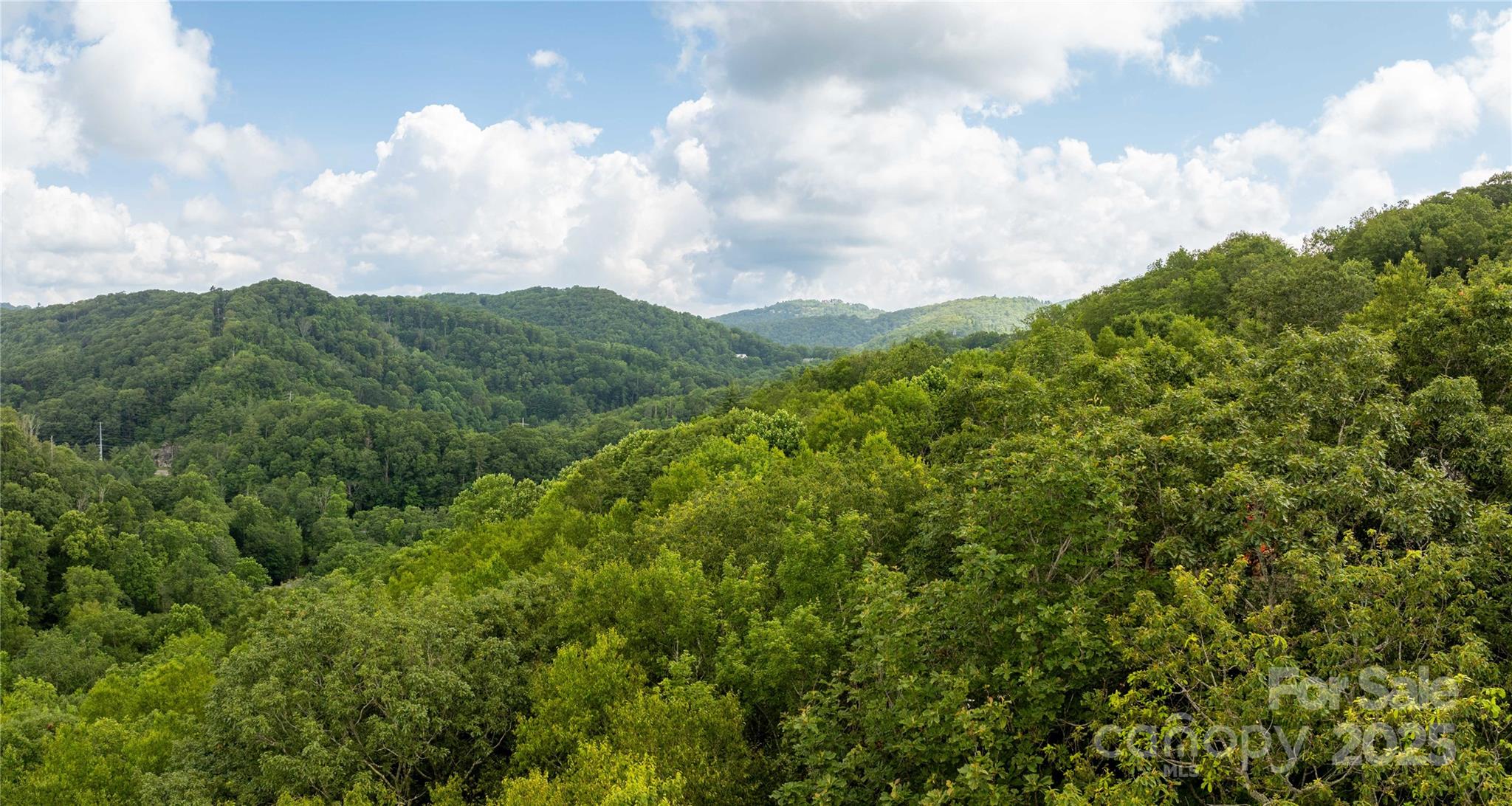 Tbd Lot 124 Firethorn Trail 124 Property Photo 9