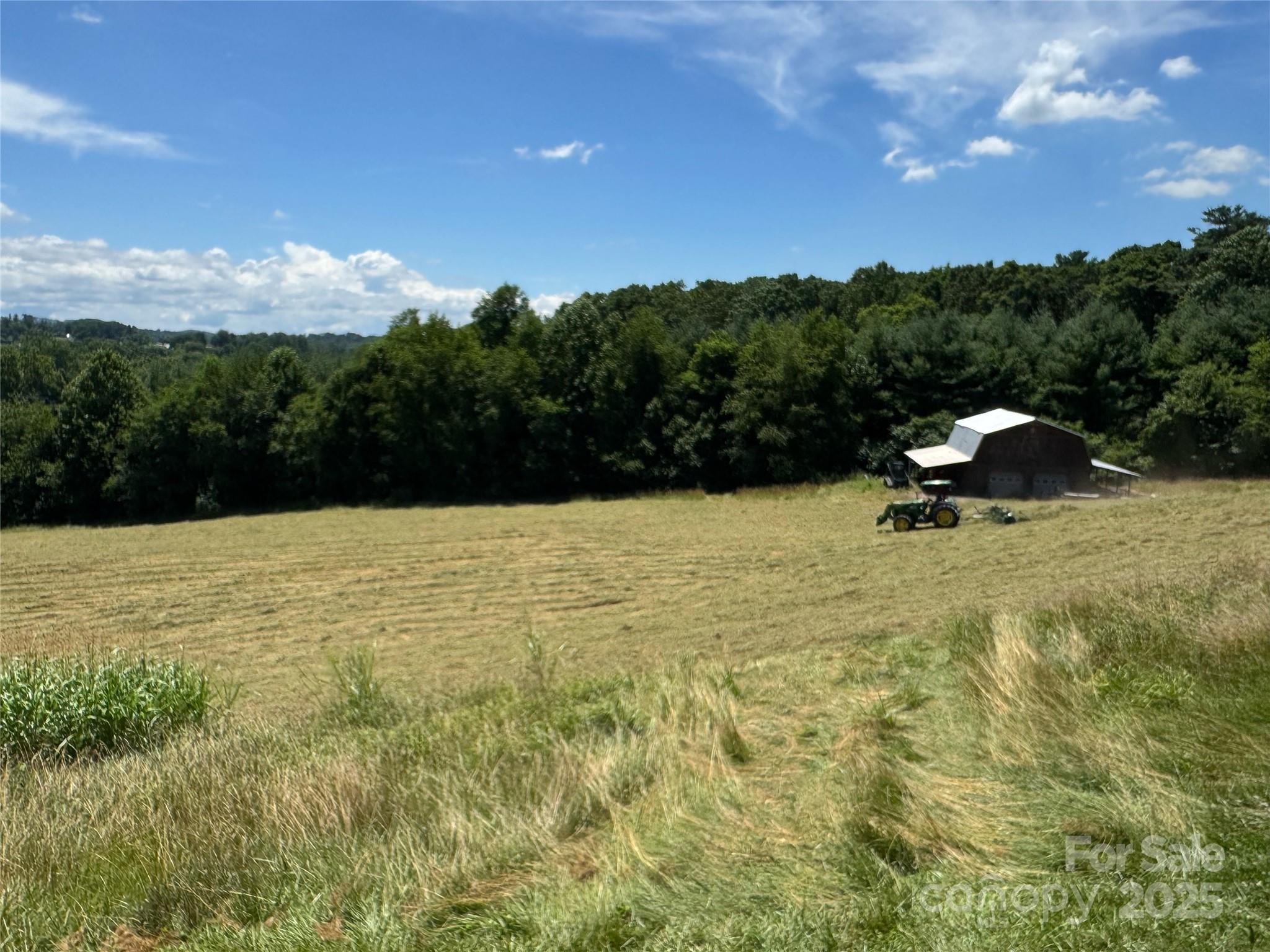 598 Miles View Drive Property Photo 8