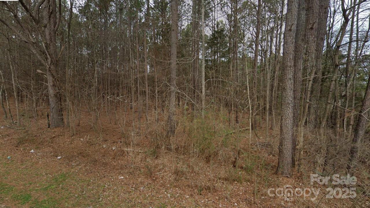 00 Old Mill Road Property Photo 4