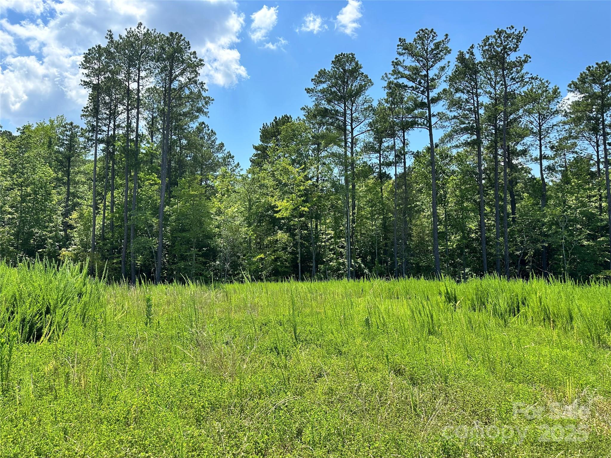 1418 Samuel Spencer Parkway Property Photo 12