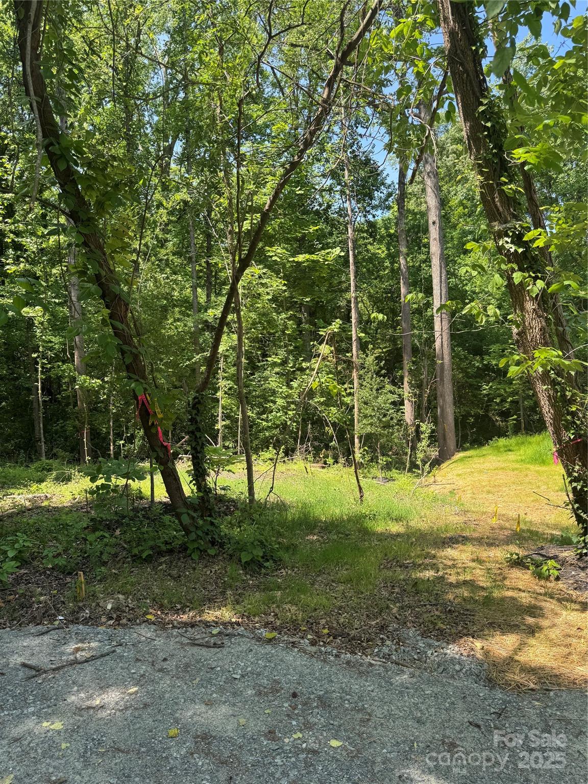 235 Ventner Court Property Photo