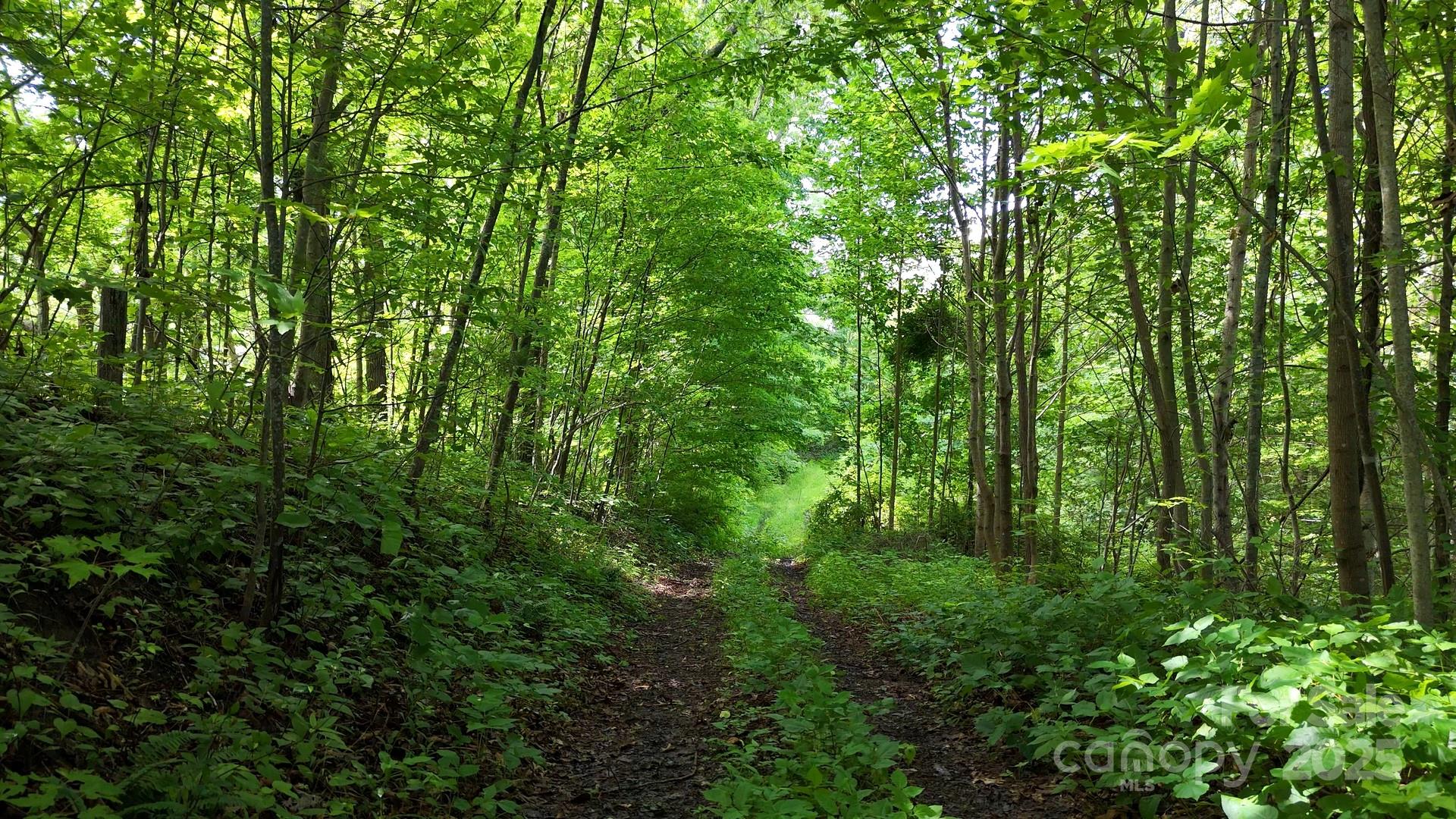 00 Liner Cove Road 2 Property Photo 3