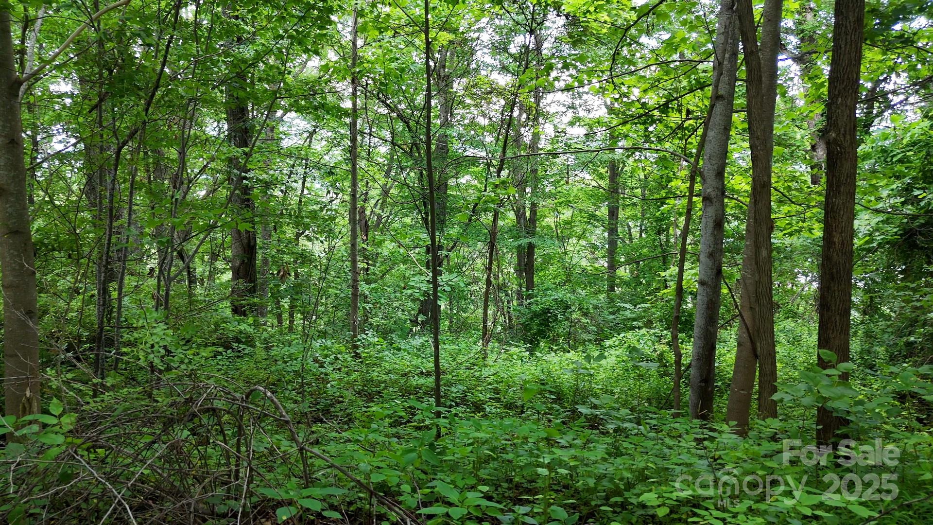 00 Liner Cove Road 2 Property Photo 4