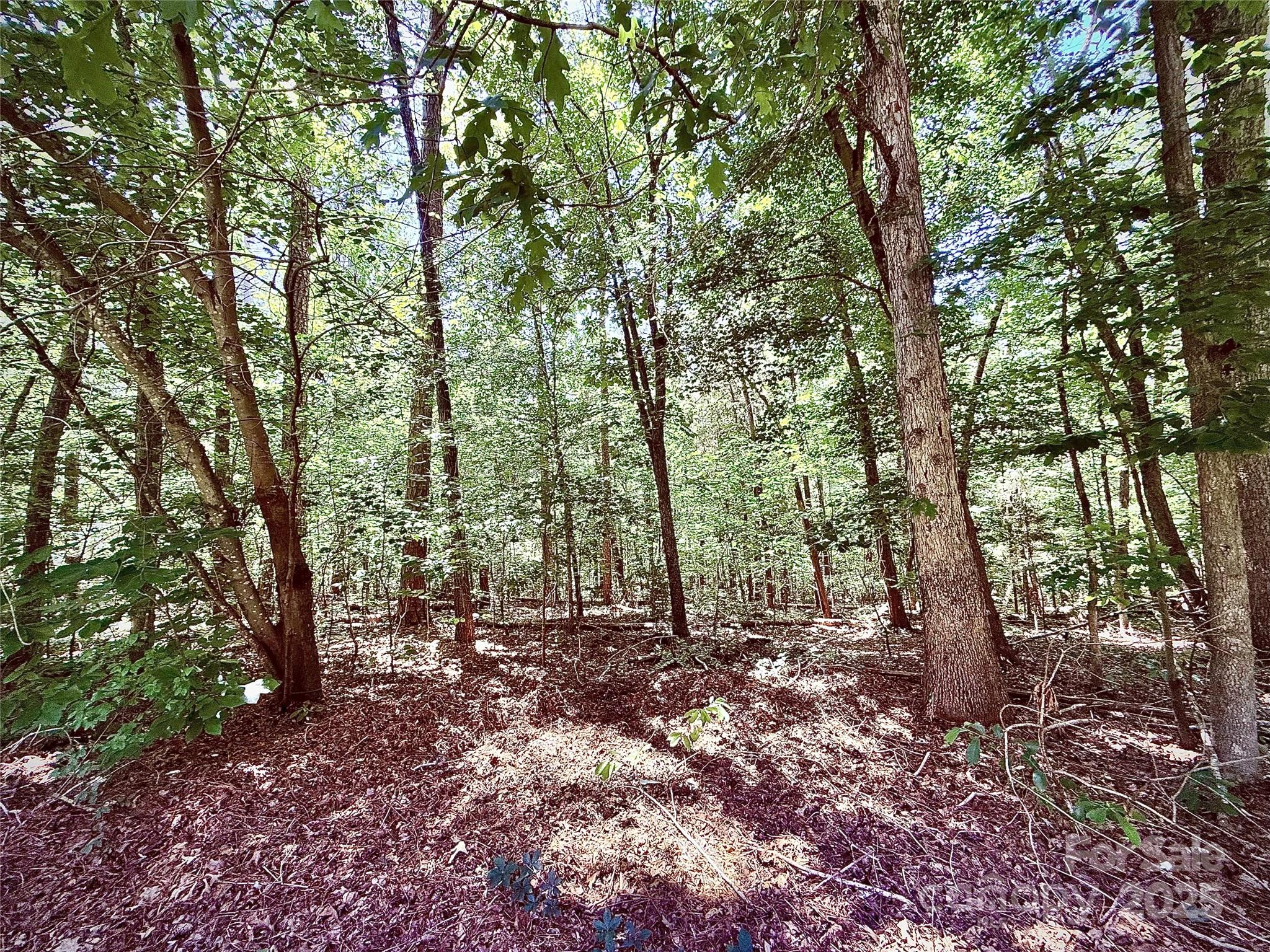 00 Margie Lane Property Photo 4