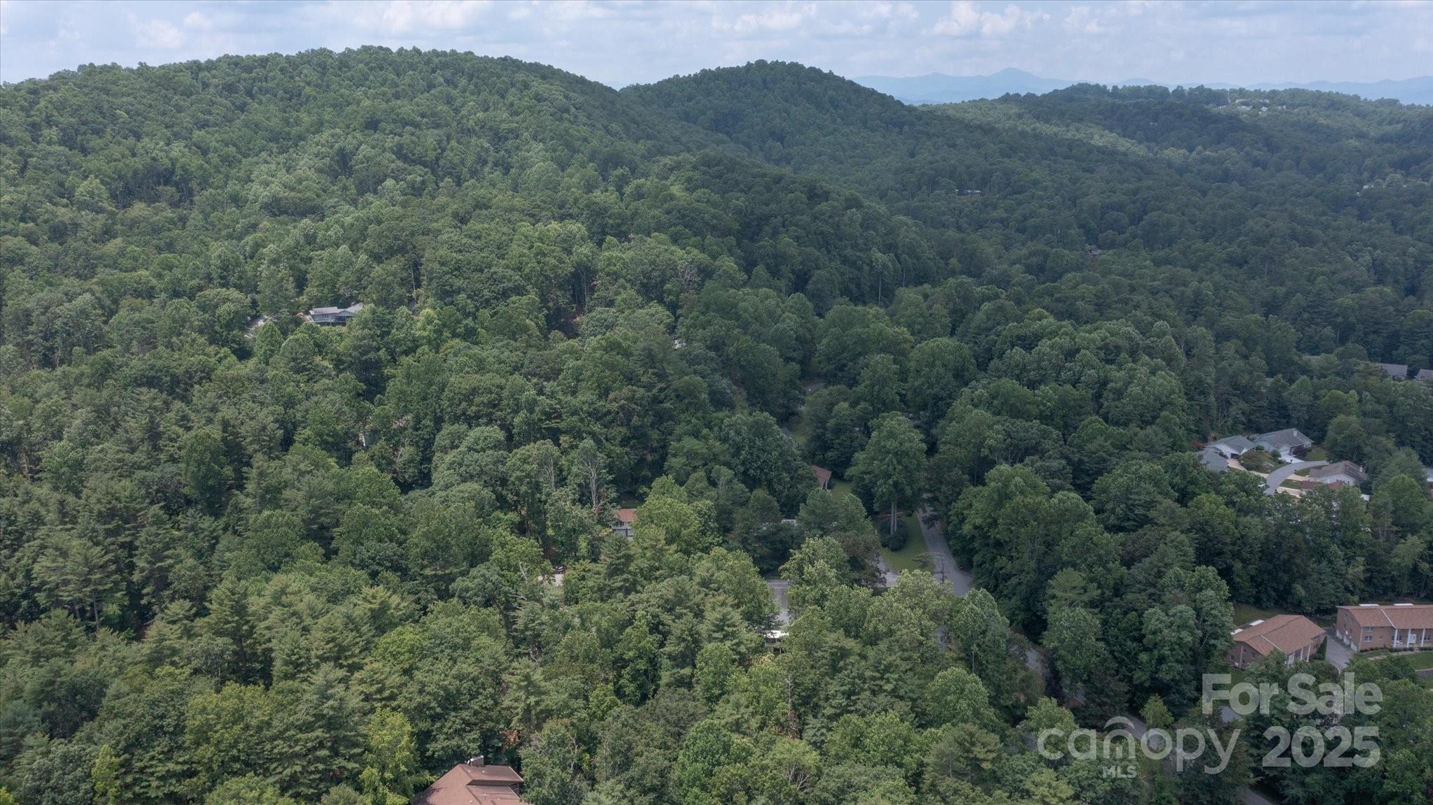 104 Britton Avenue Property Photo 46