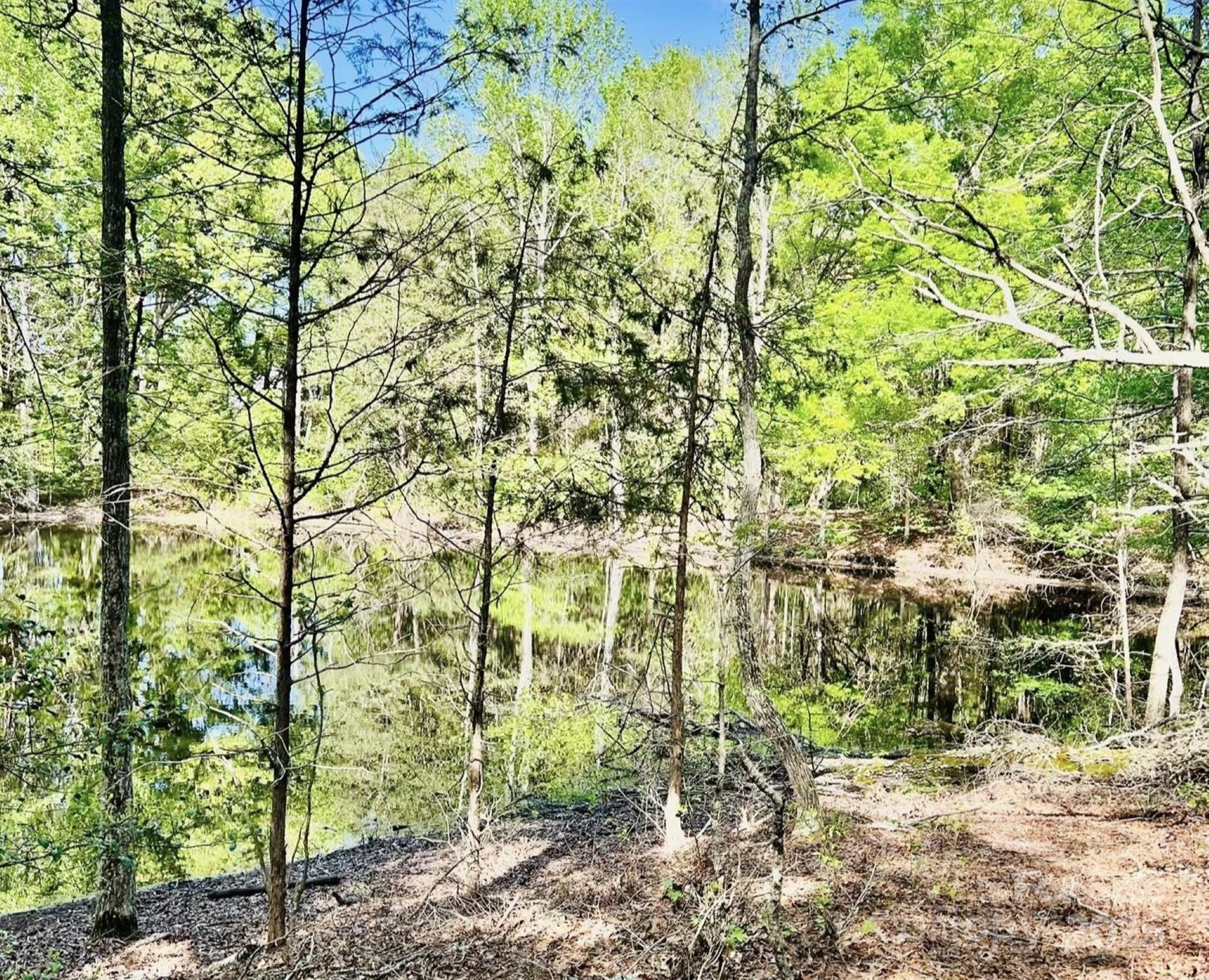 426 Ratchford Road Property Photo 18