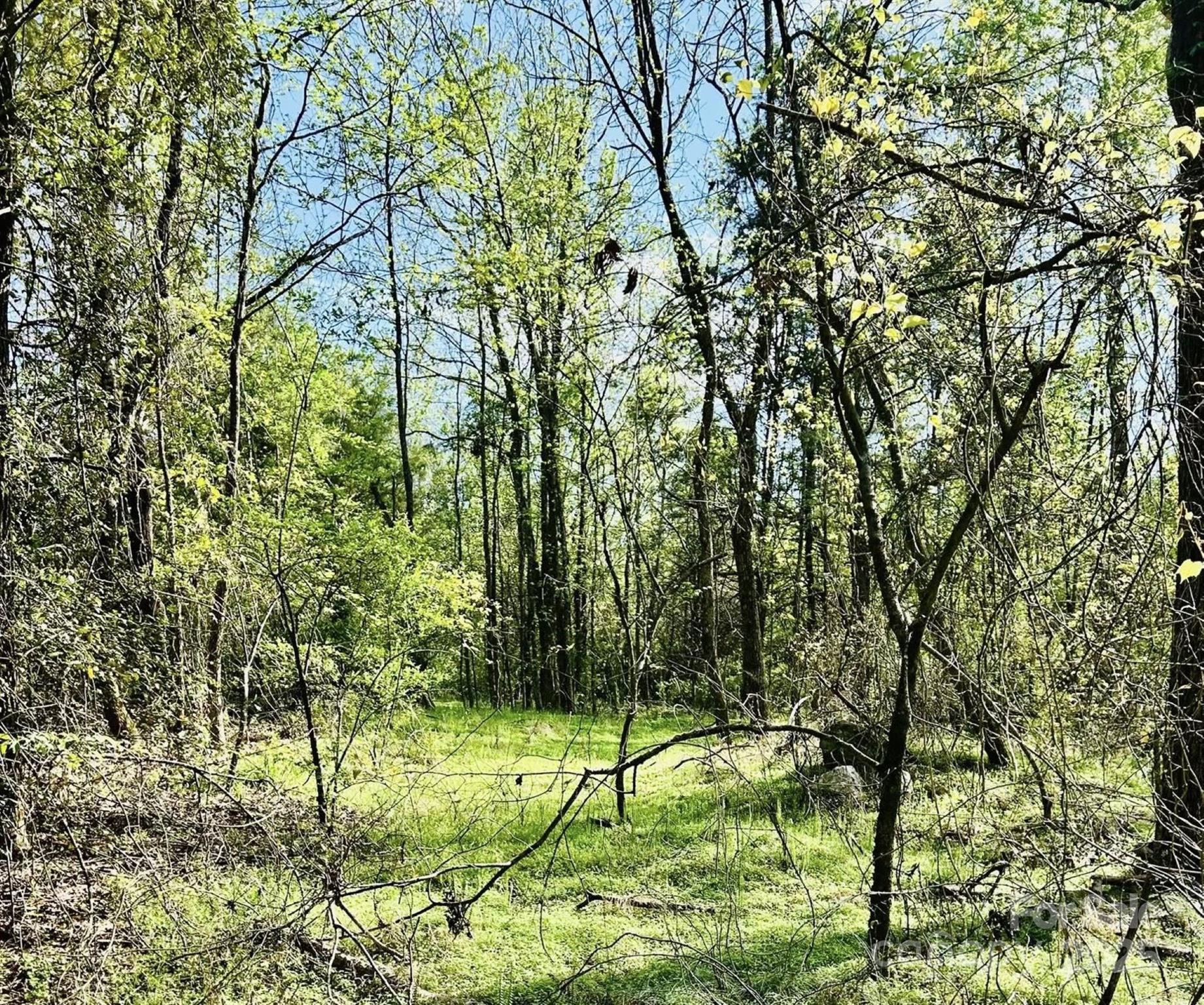 426 Ratchford Road Property Photo 19