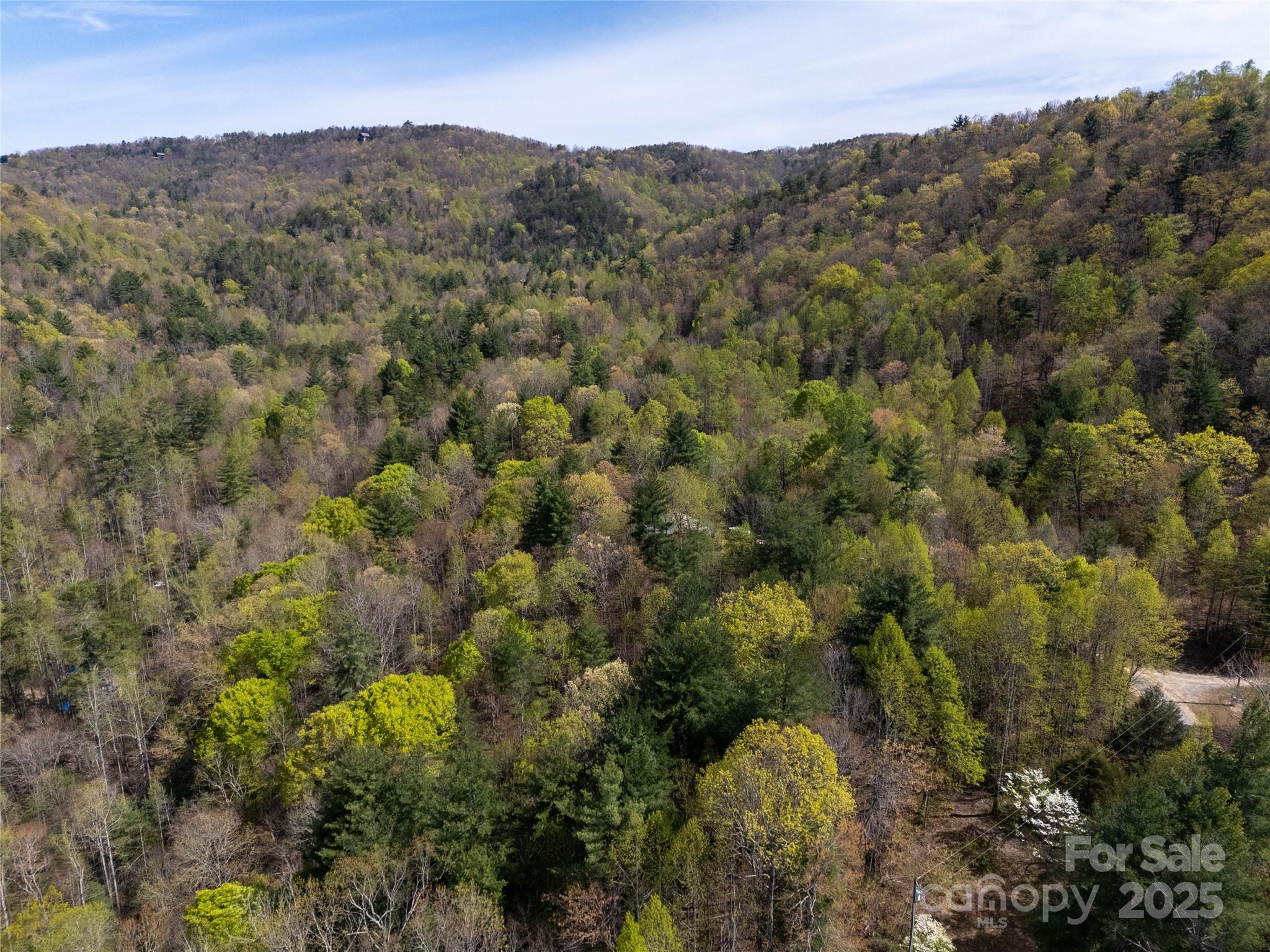 2668 Reedy Branch Road Property Photo 2