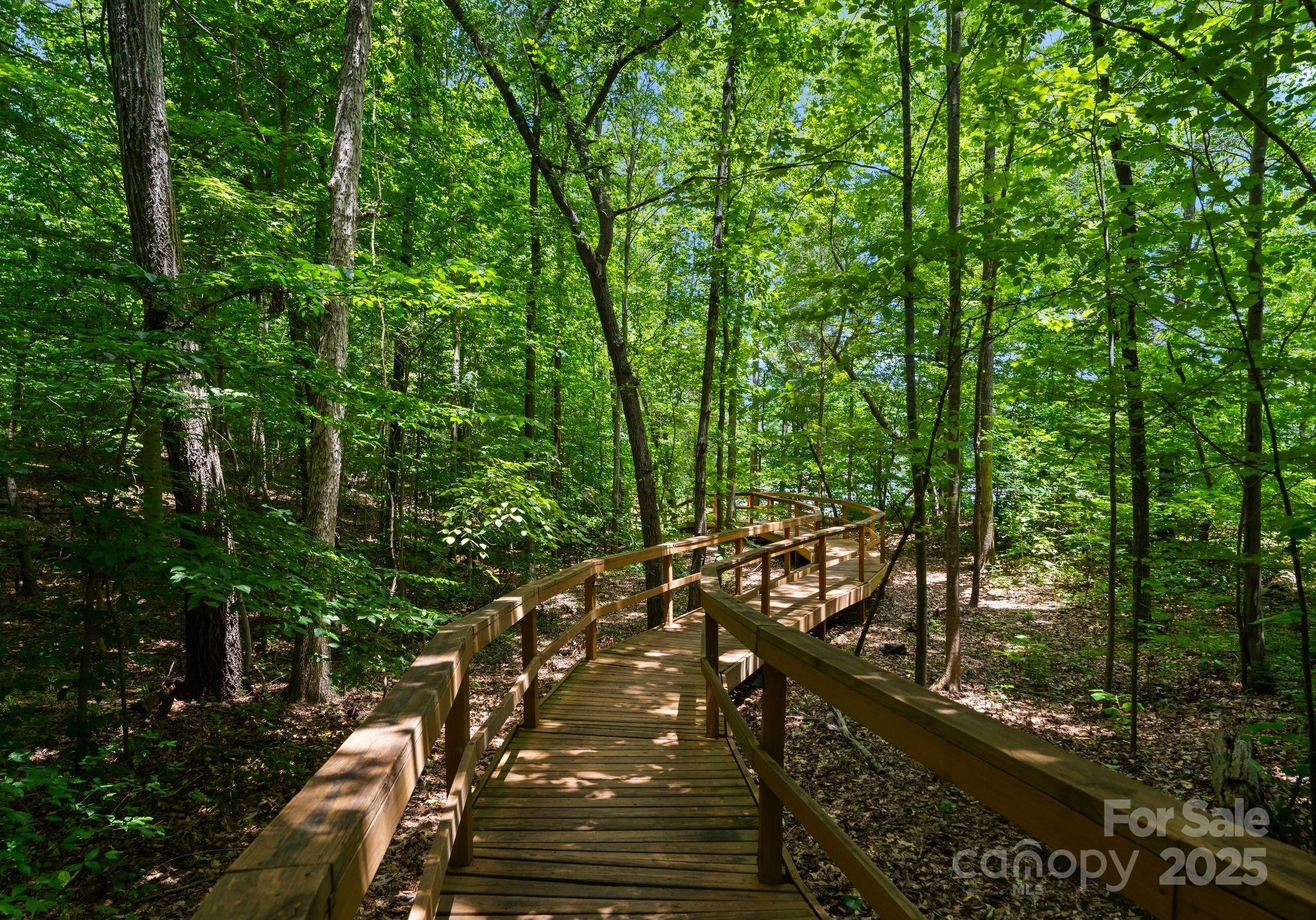 11202 Mountain Pine Drive Property Photo 41