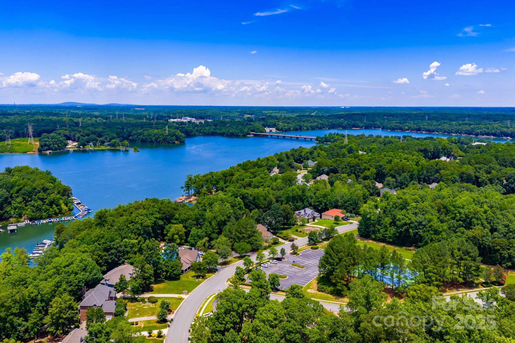 11202 Mountain Pine Drive Property Photo 46