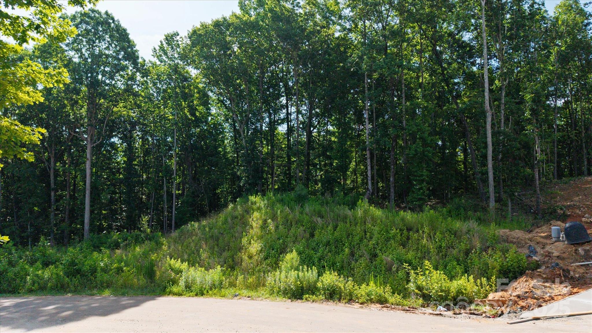 0 Honey Tree Lane Property Photo 2