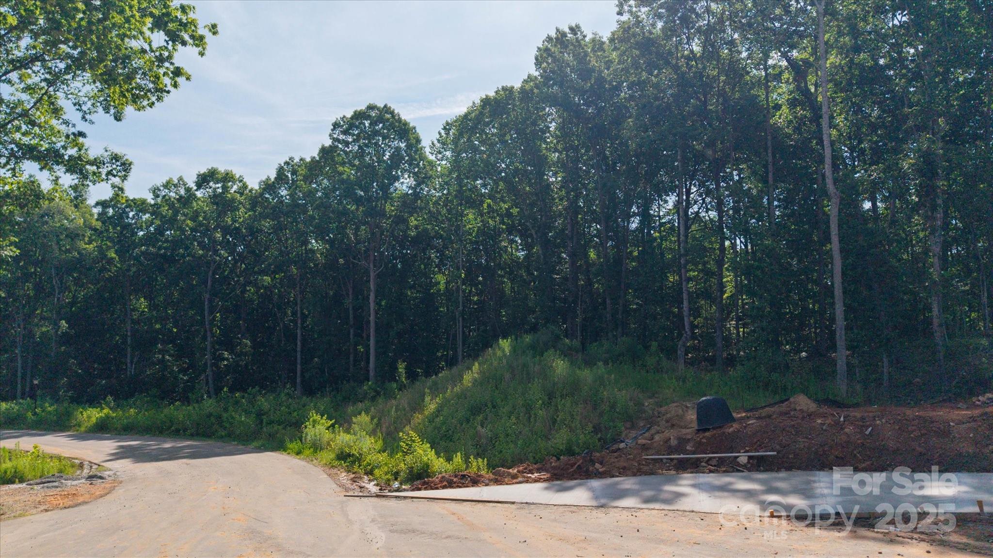 0 Honey Tree Lane Property Photo 3