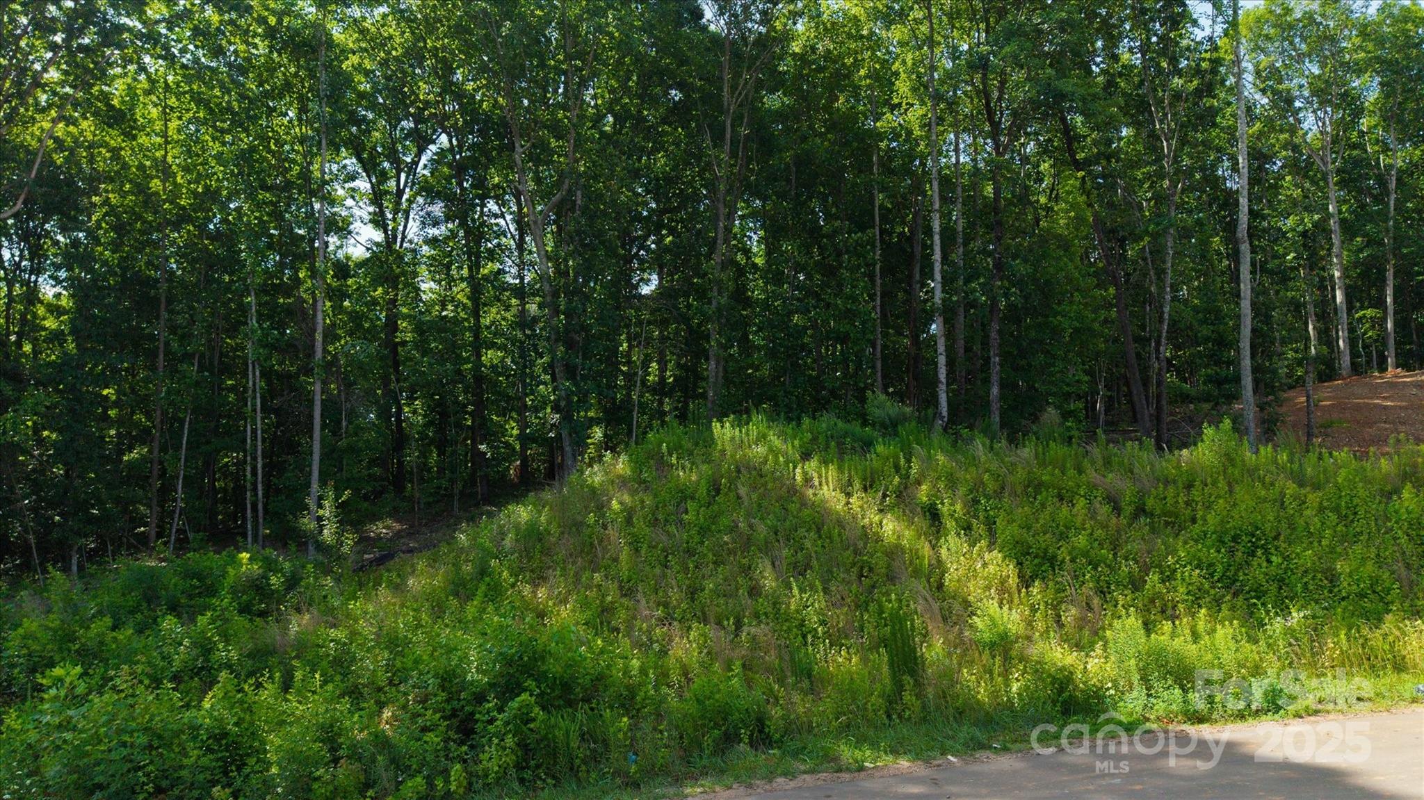 0 Honey Tree Lane Property Photo 4