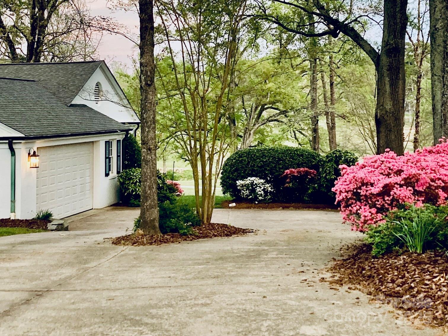 11 Pine Tree Road Property Photo 4