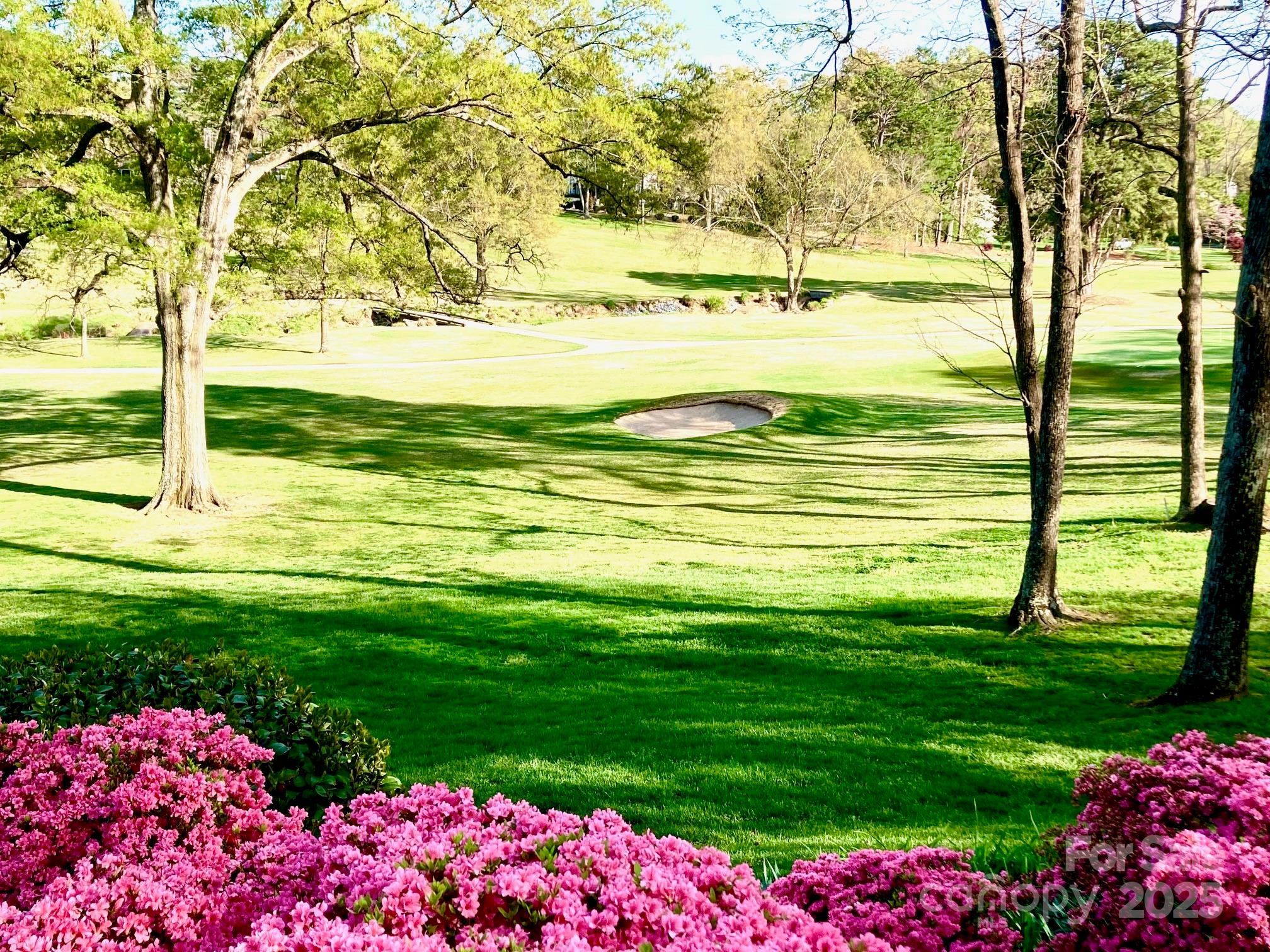 11 Pine Tree Road Property Photo 19