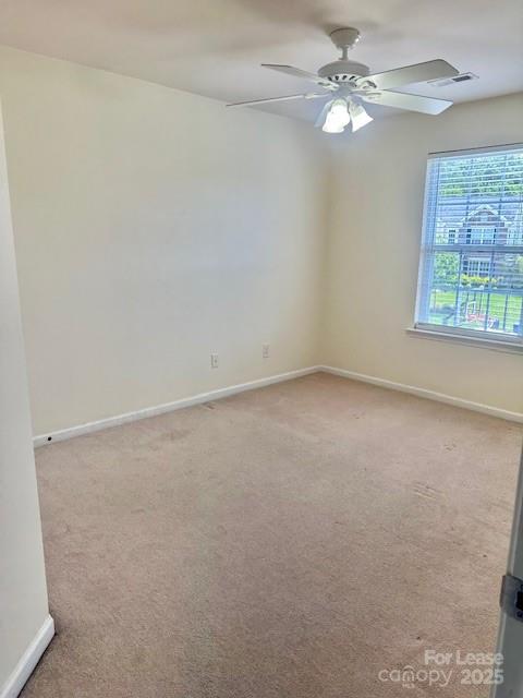 6115 The Meadows Lane Property Photo 13