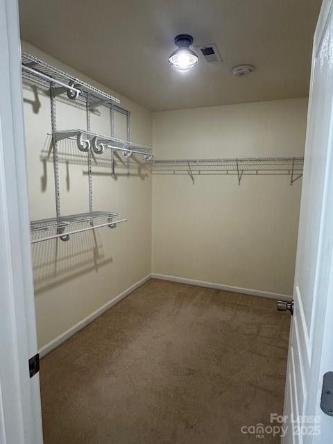 6115 The Meadows Lane Property Photo 22