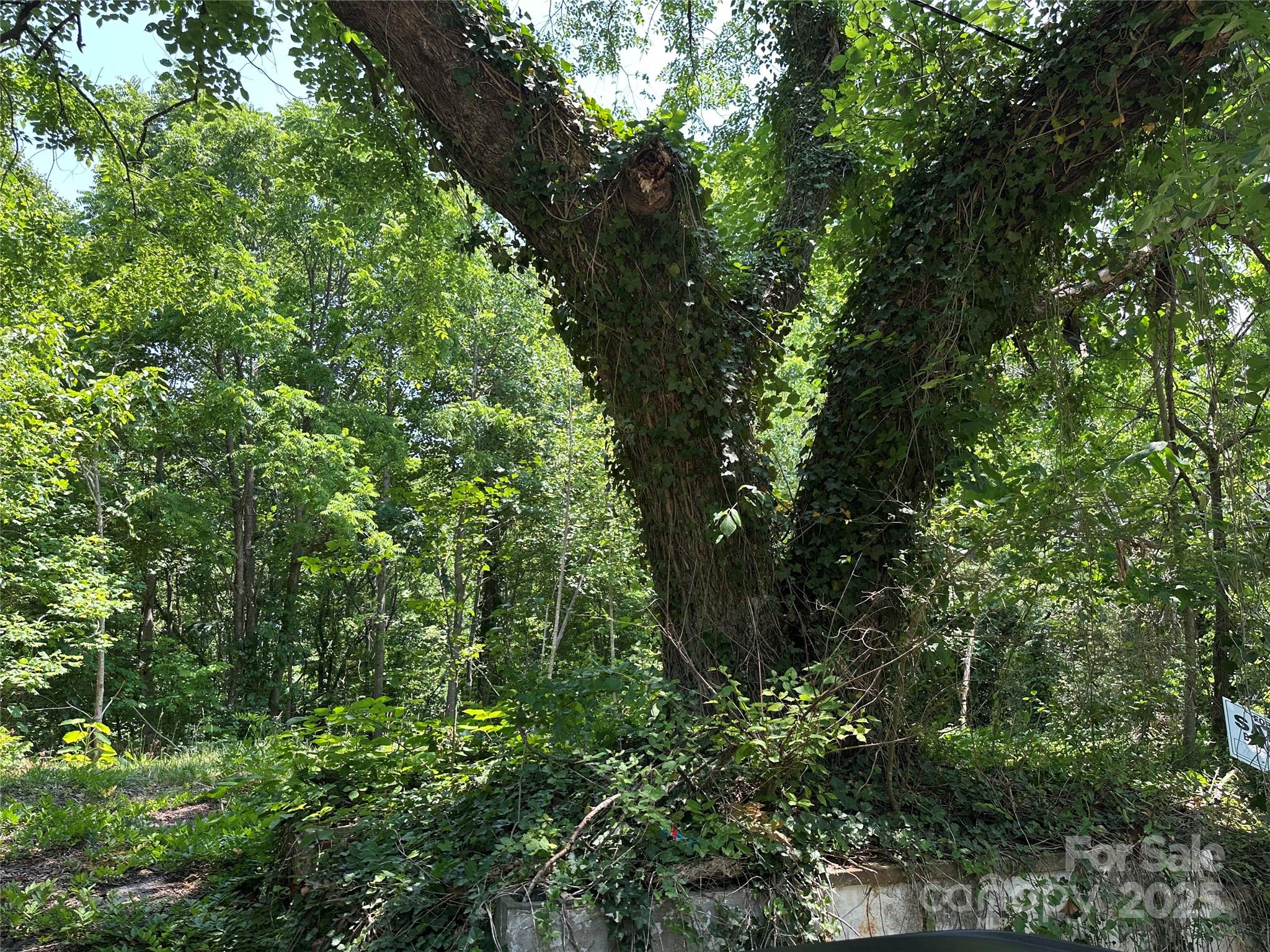 712 Hillcrest Street Property Photo 1