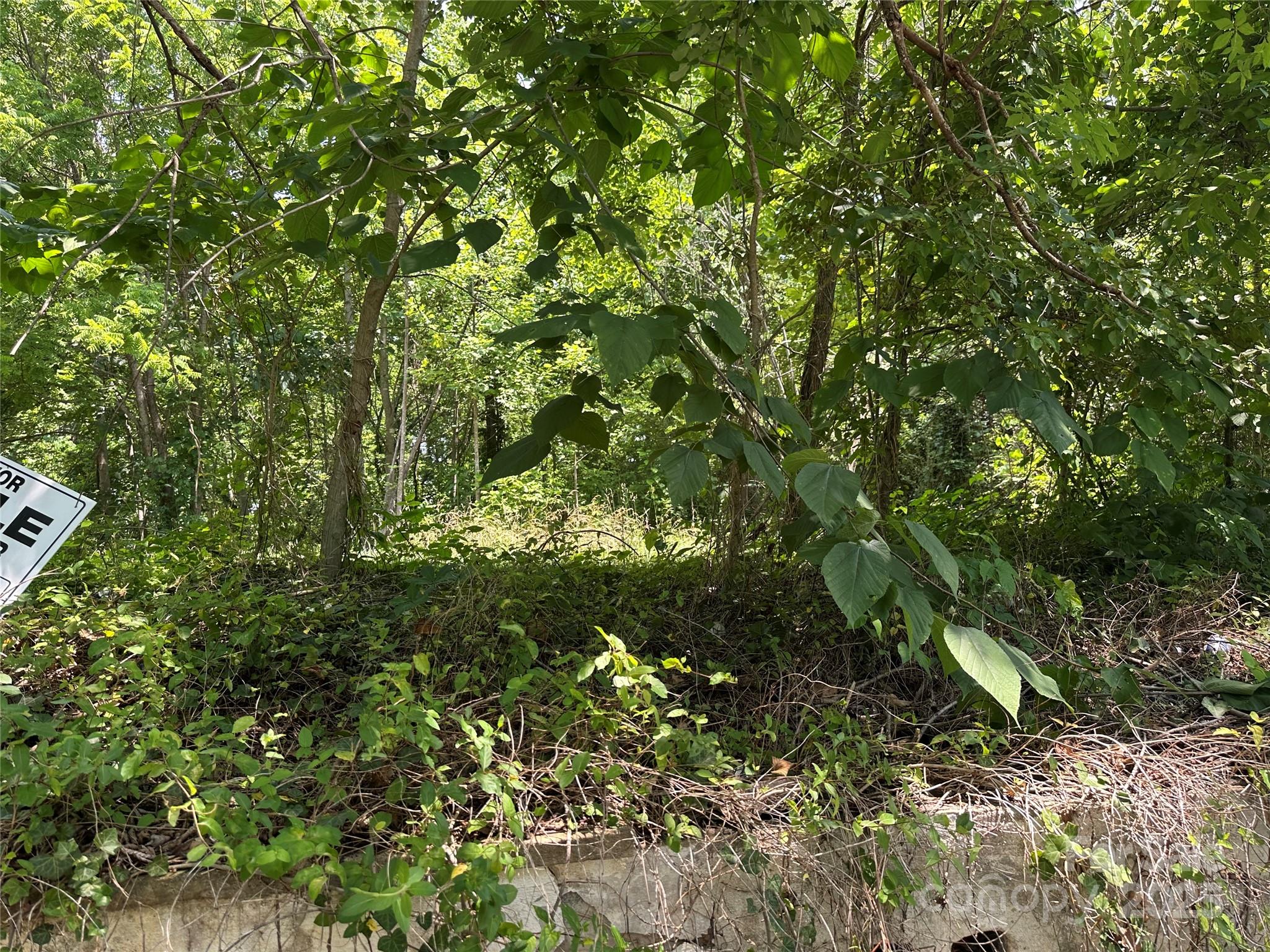 712 Hillcrest Street Property Photo 2