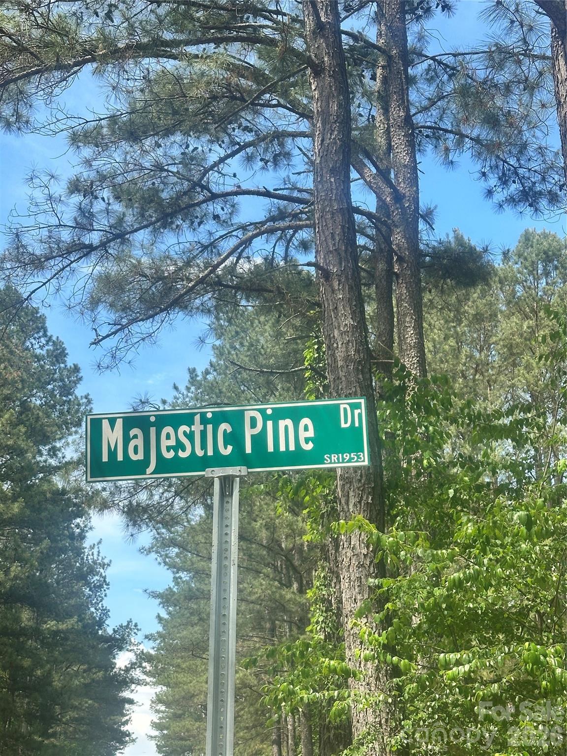 00 #24 Majestic Pine Drive 24 Property Photo 2