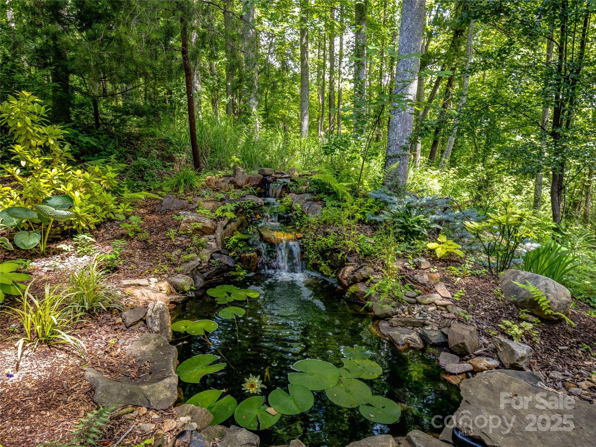 37 Gaston Mountain Road Property Photo 3
