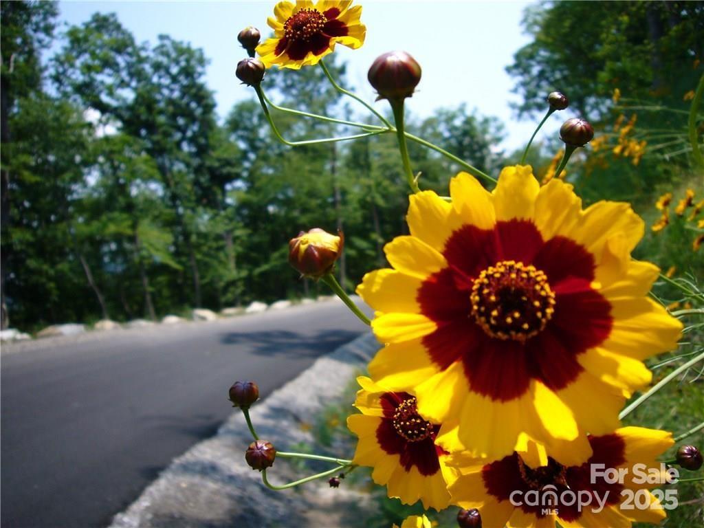 21 Casta Way Property Photo 3