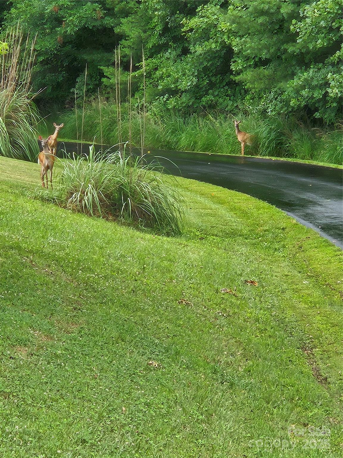 9999 Settlers Trail 38 Property Photo 7