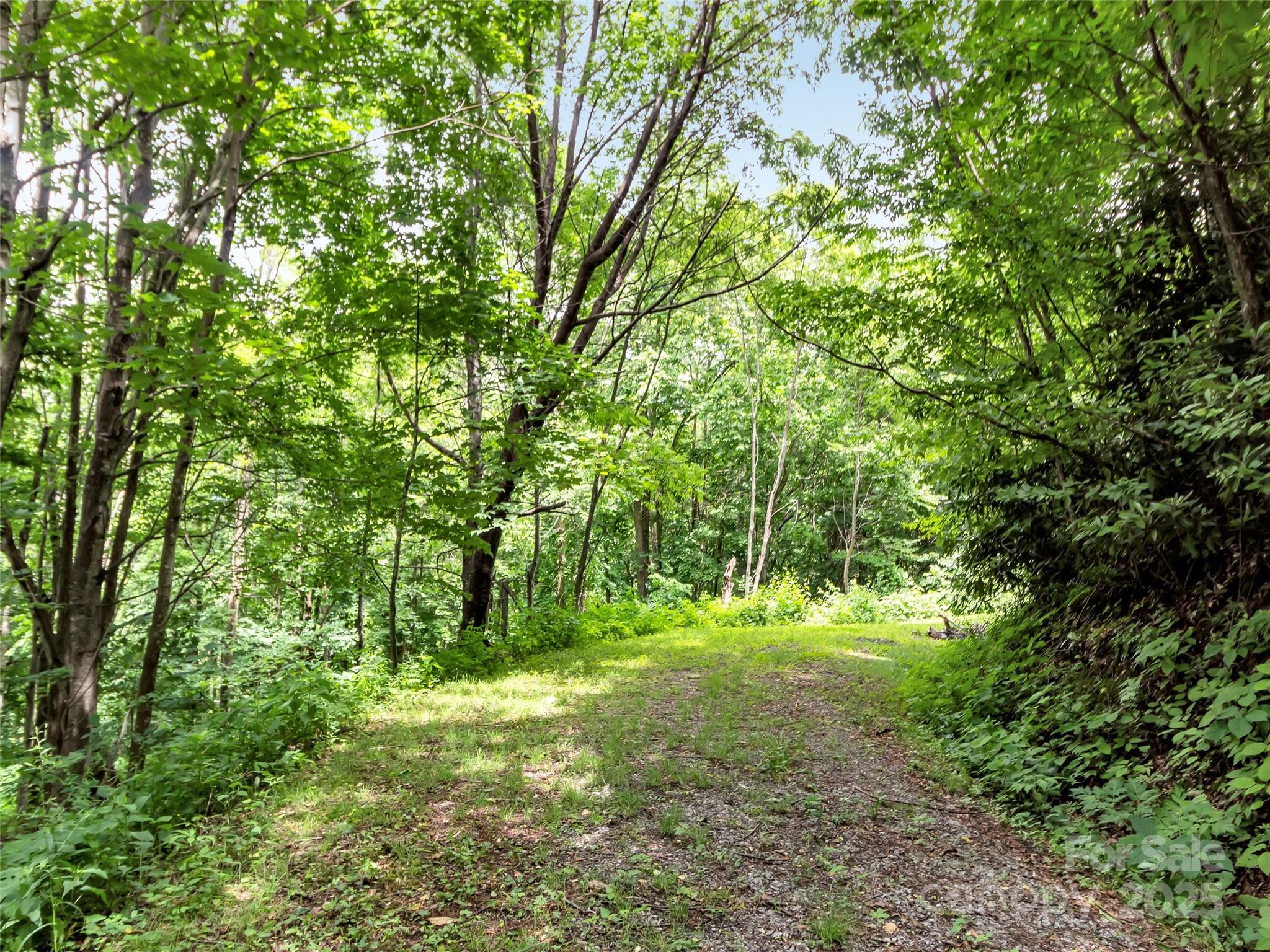 32 Sallywood Trail Property Photo 2