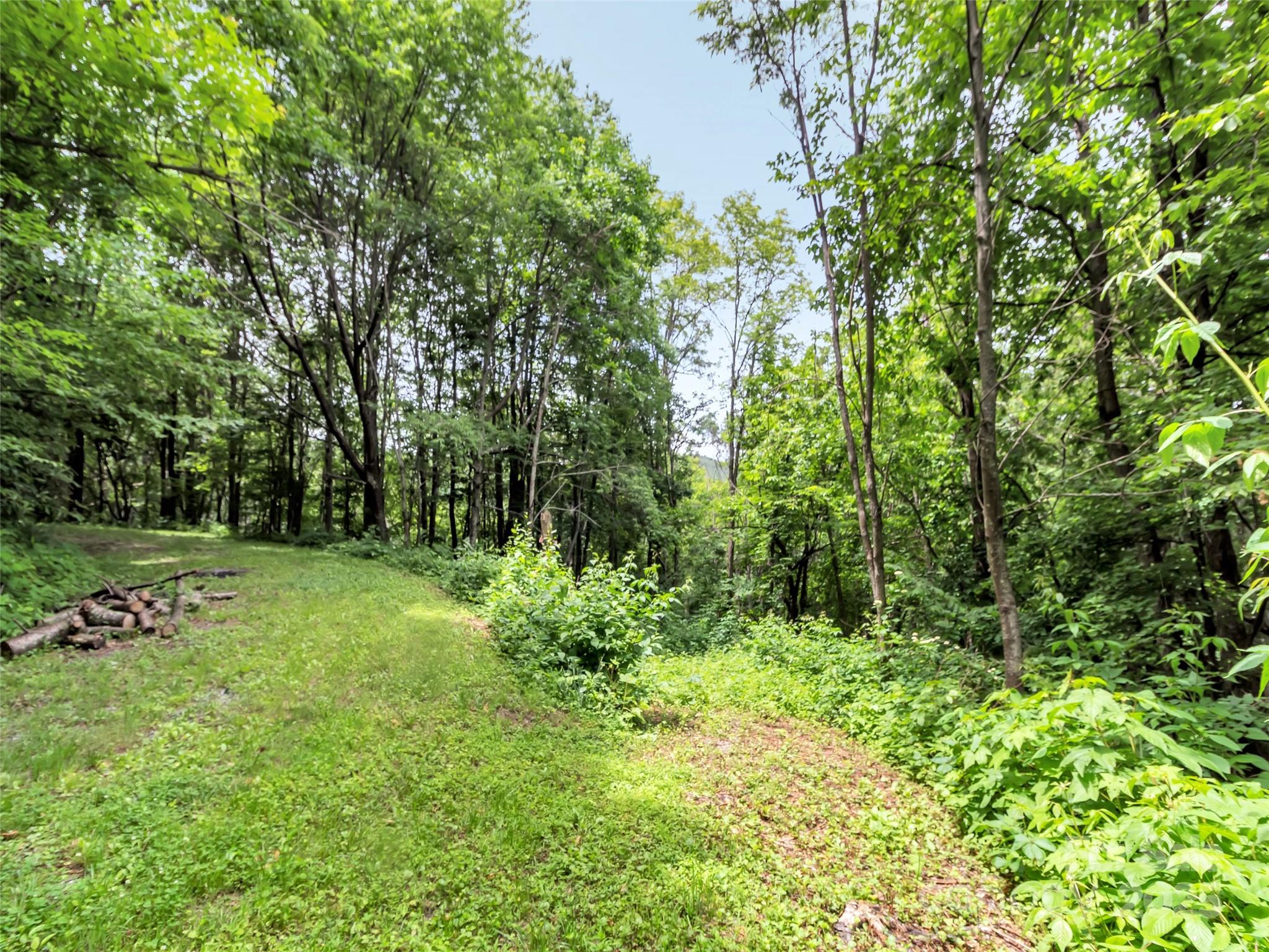 32 Sallywood Trail Property Photo 3