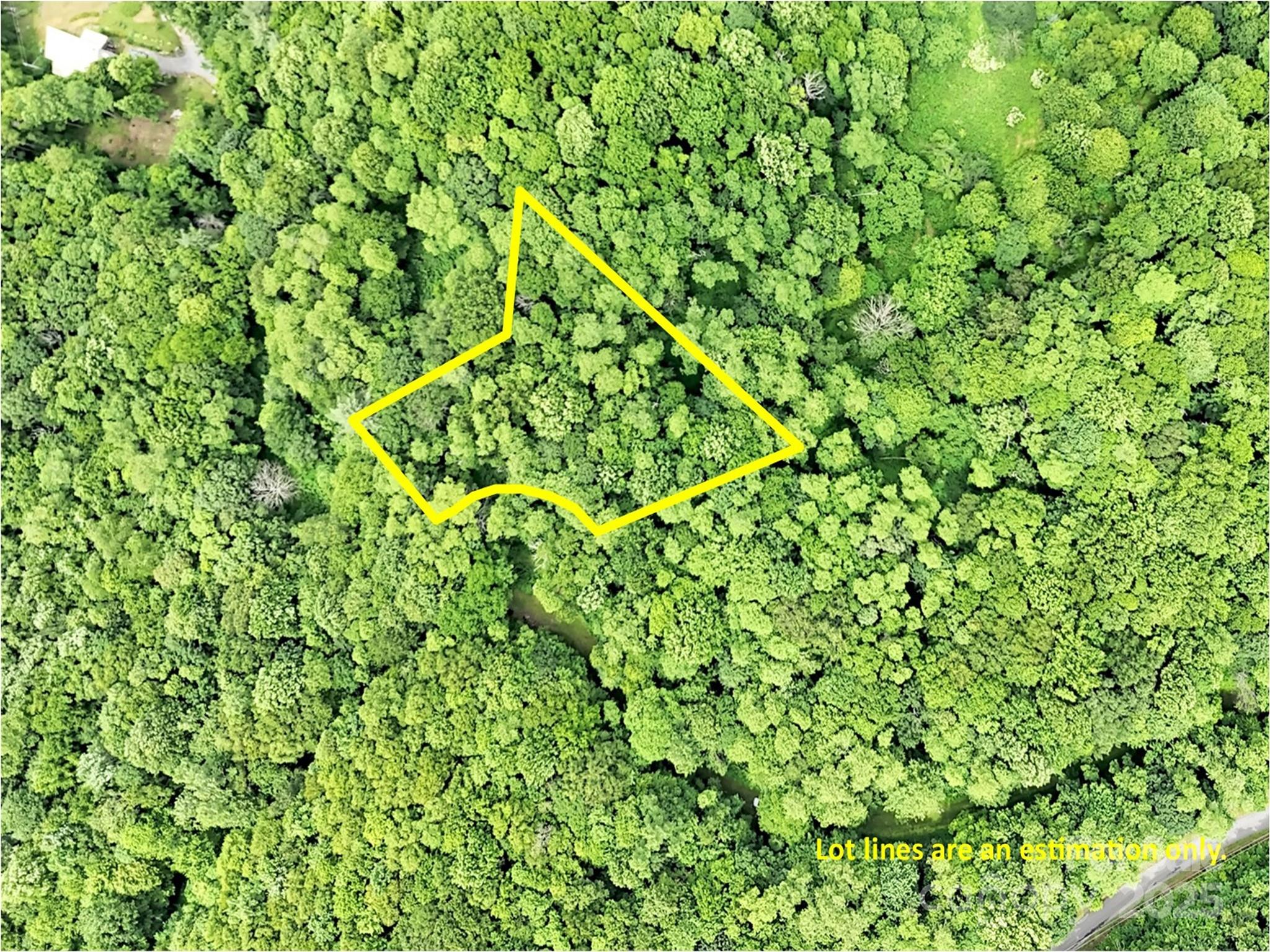 32 Sallywood Trail Property Photo 7