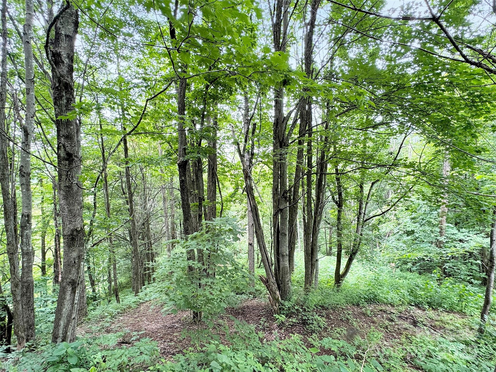 32 Sallywood Trail Property Photo 8