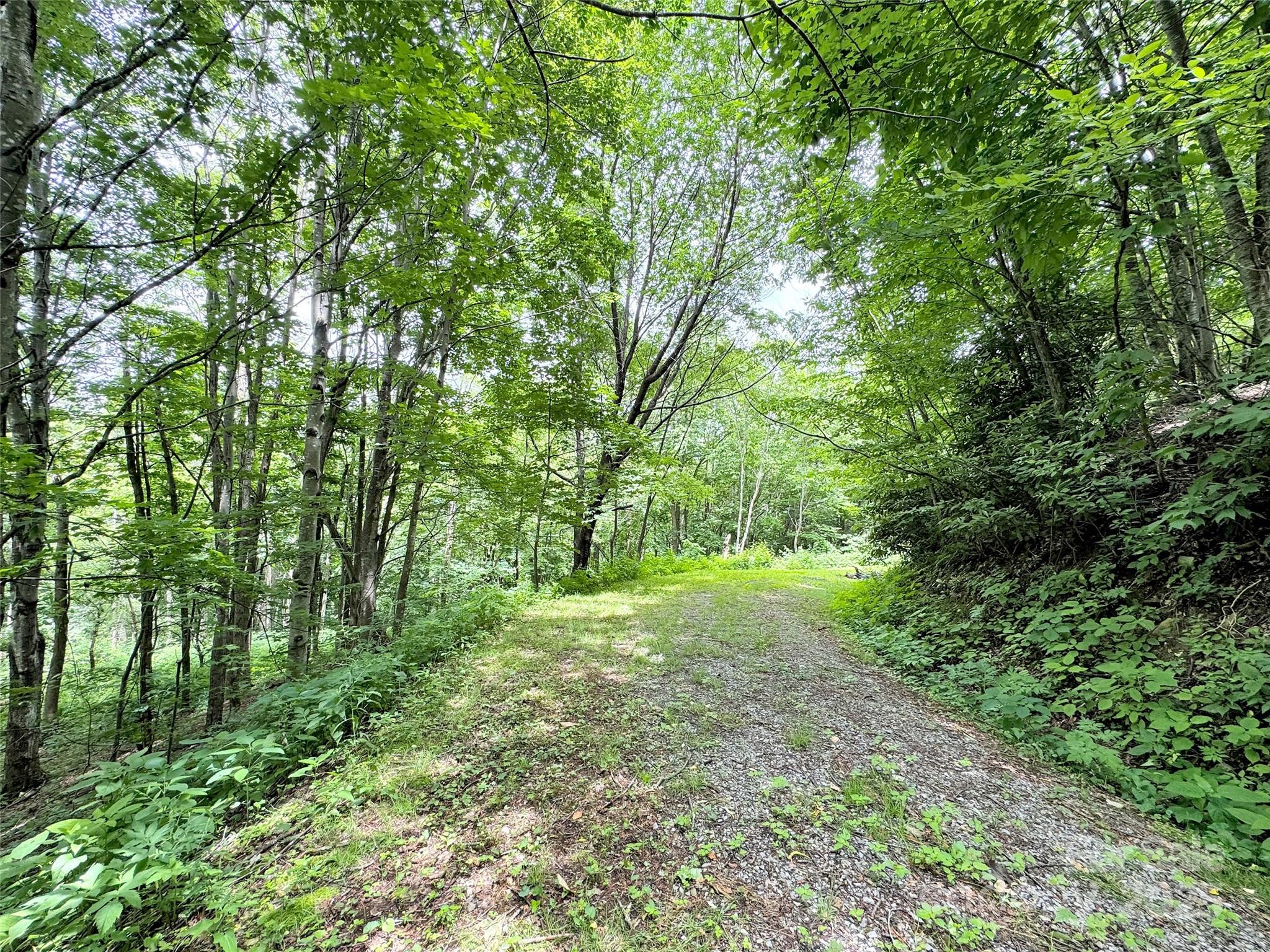 32 Sallywood Trail Property Photo 9