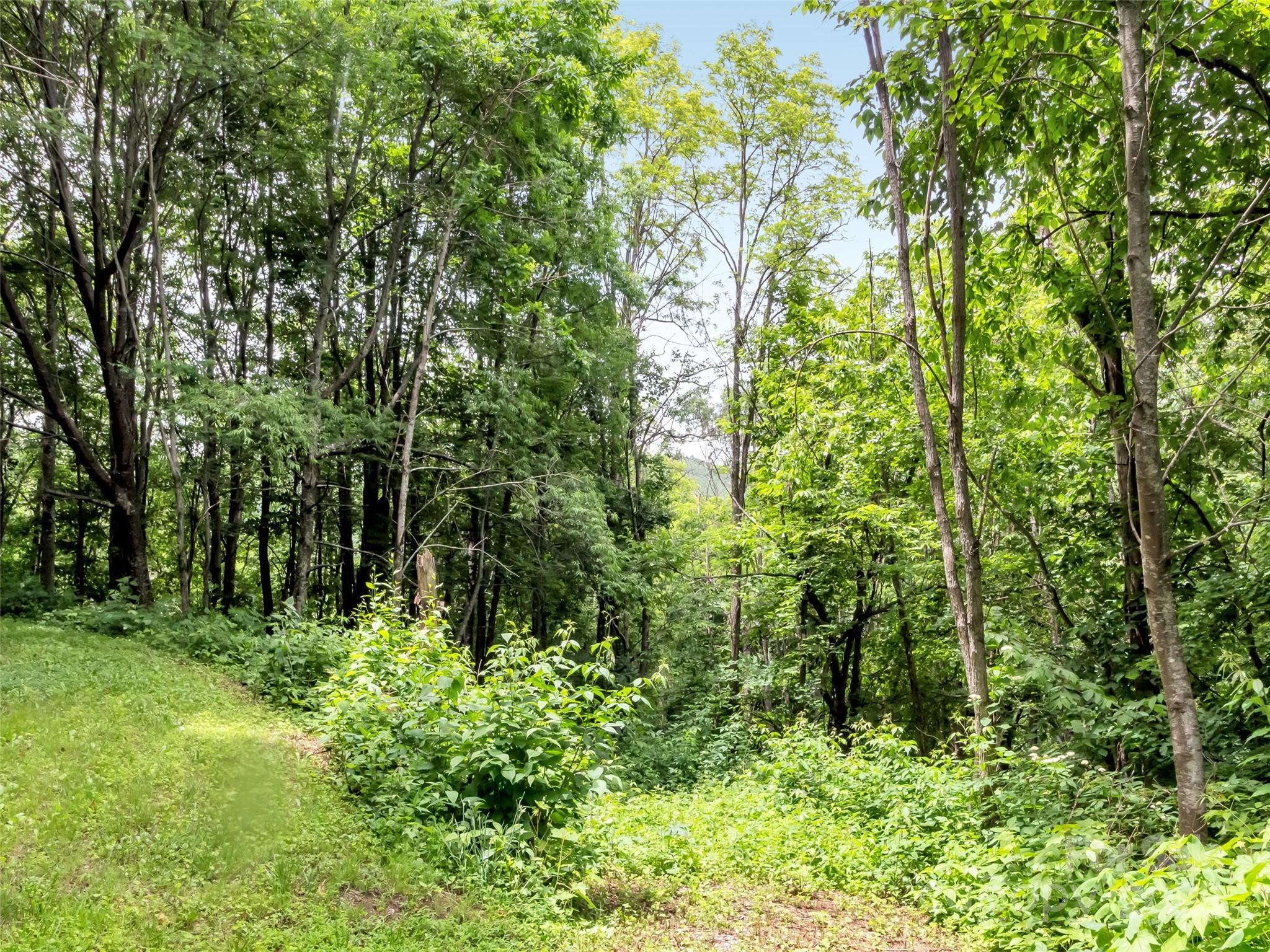 32 Sallywood Trail Property Photo 13