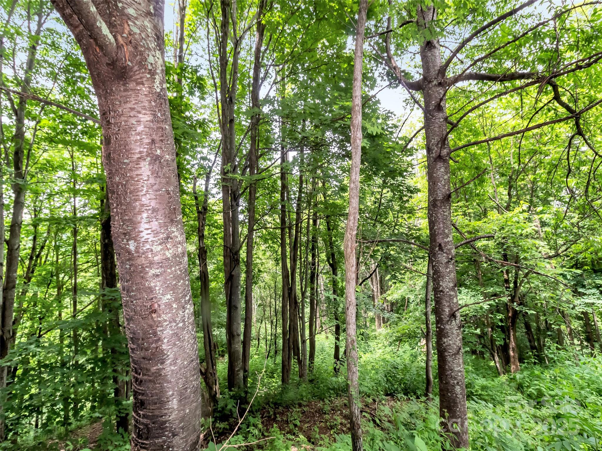 32 Sallywood Trail Property Photo 14