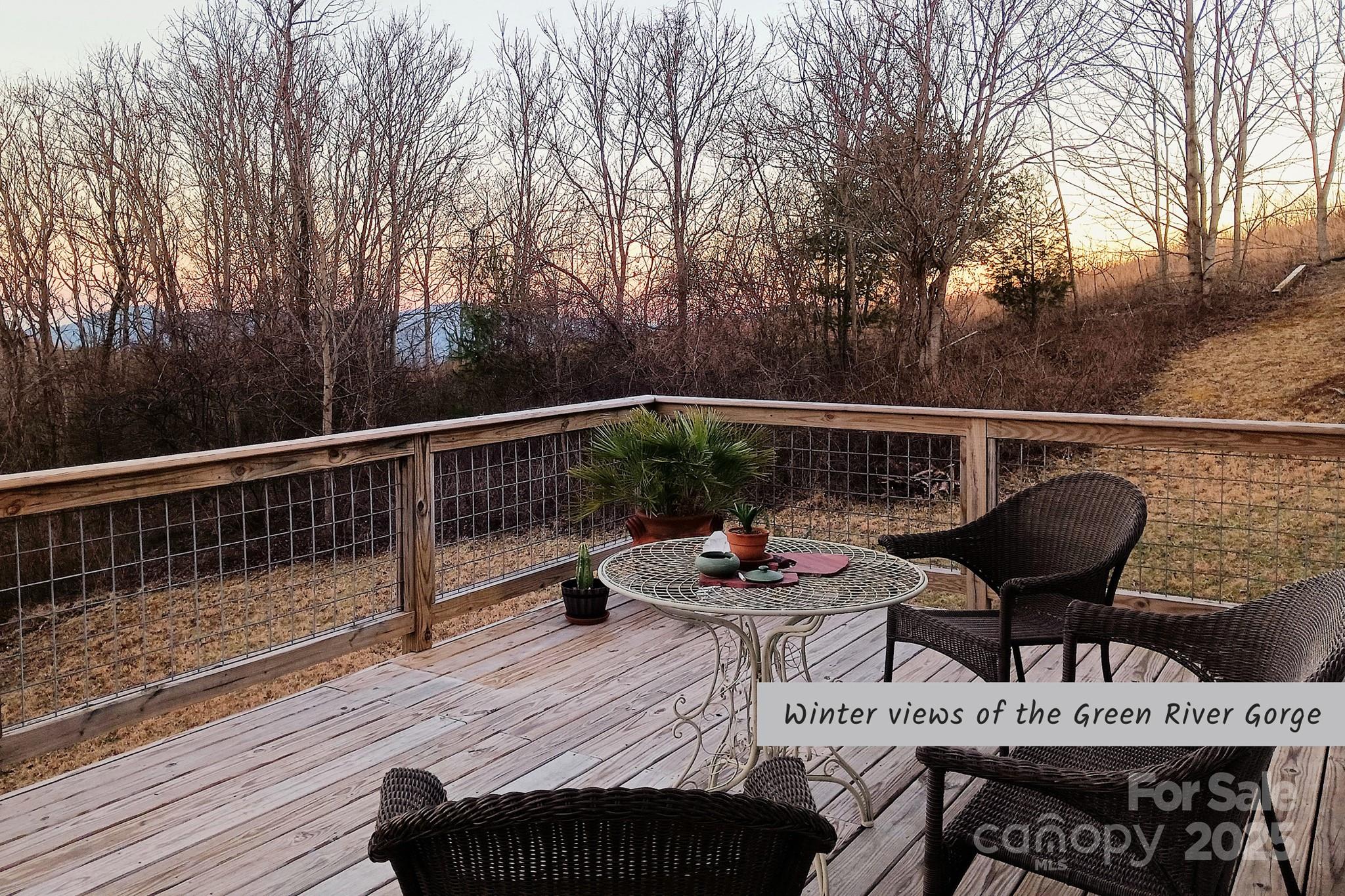 1282 Spicer Cove Road Property Photo 26