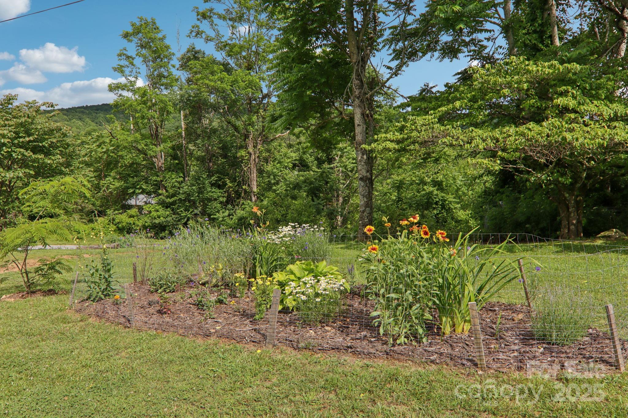 1282 Spicer Cove Road Property Photo 36
