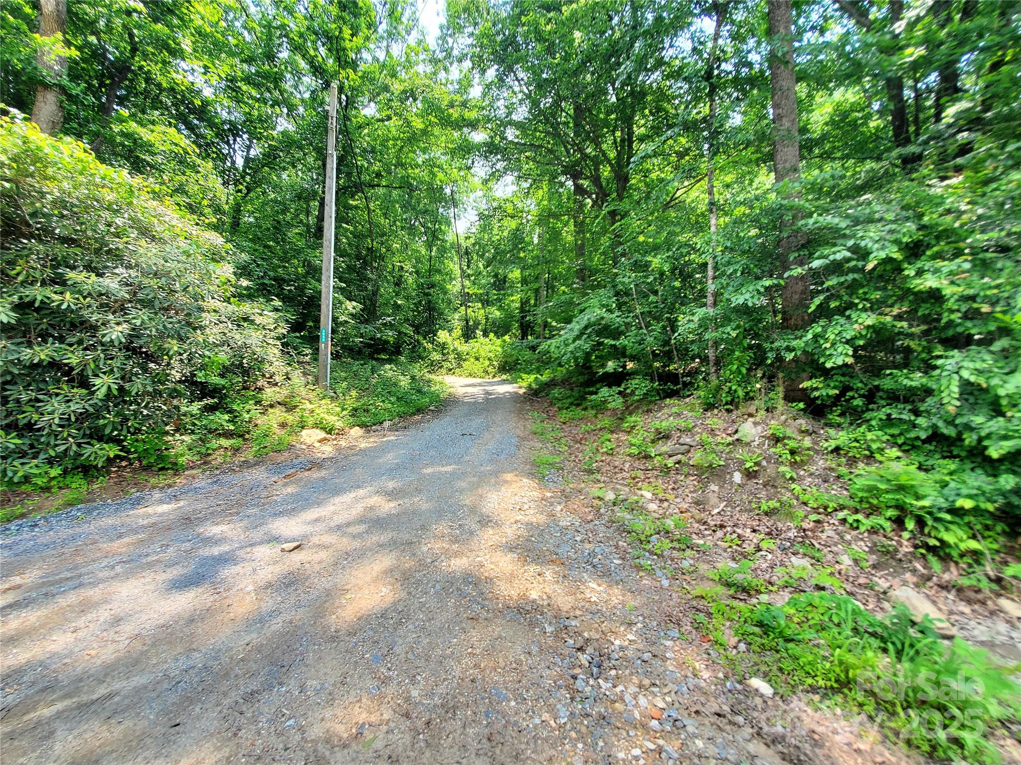 000 Green River Cove Road Property Photo 6