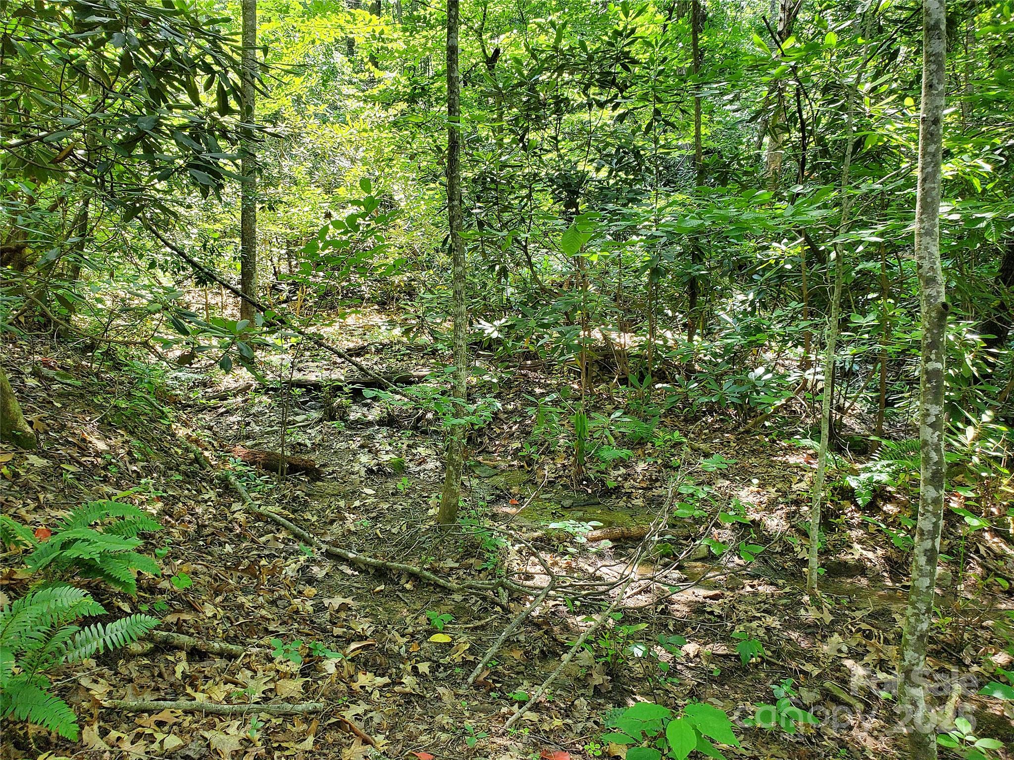 000 Green River Cove Road Property Photo 13