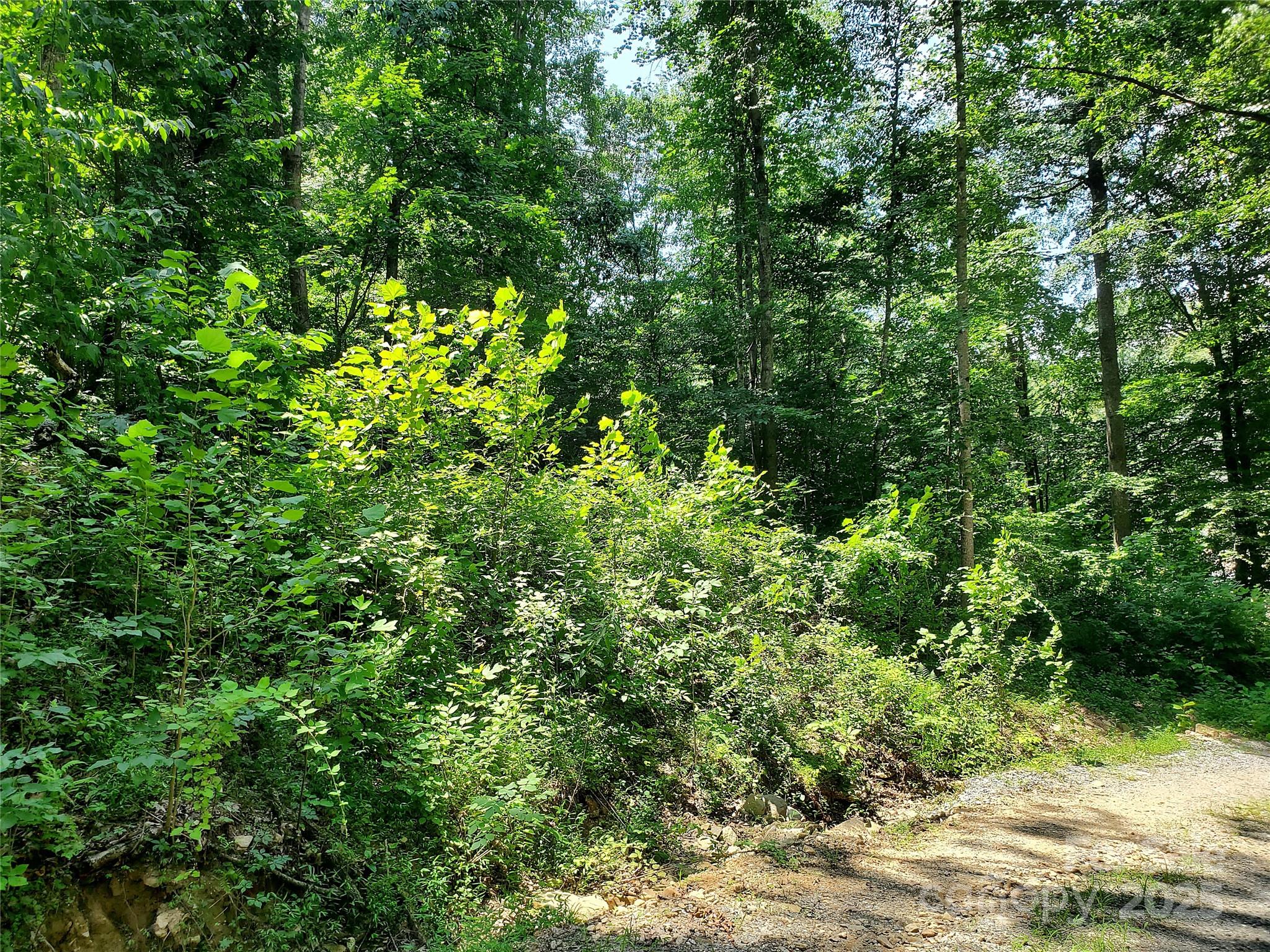 000 Green River Cove Road Property Photo 14