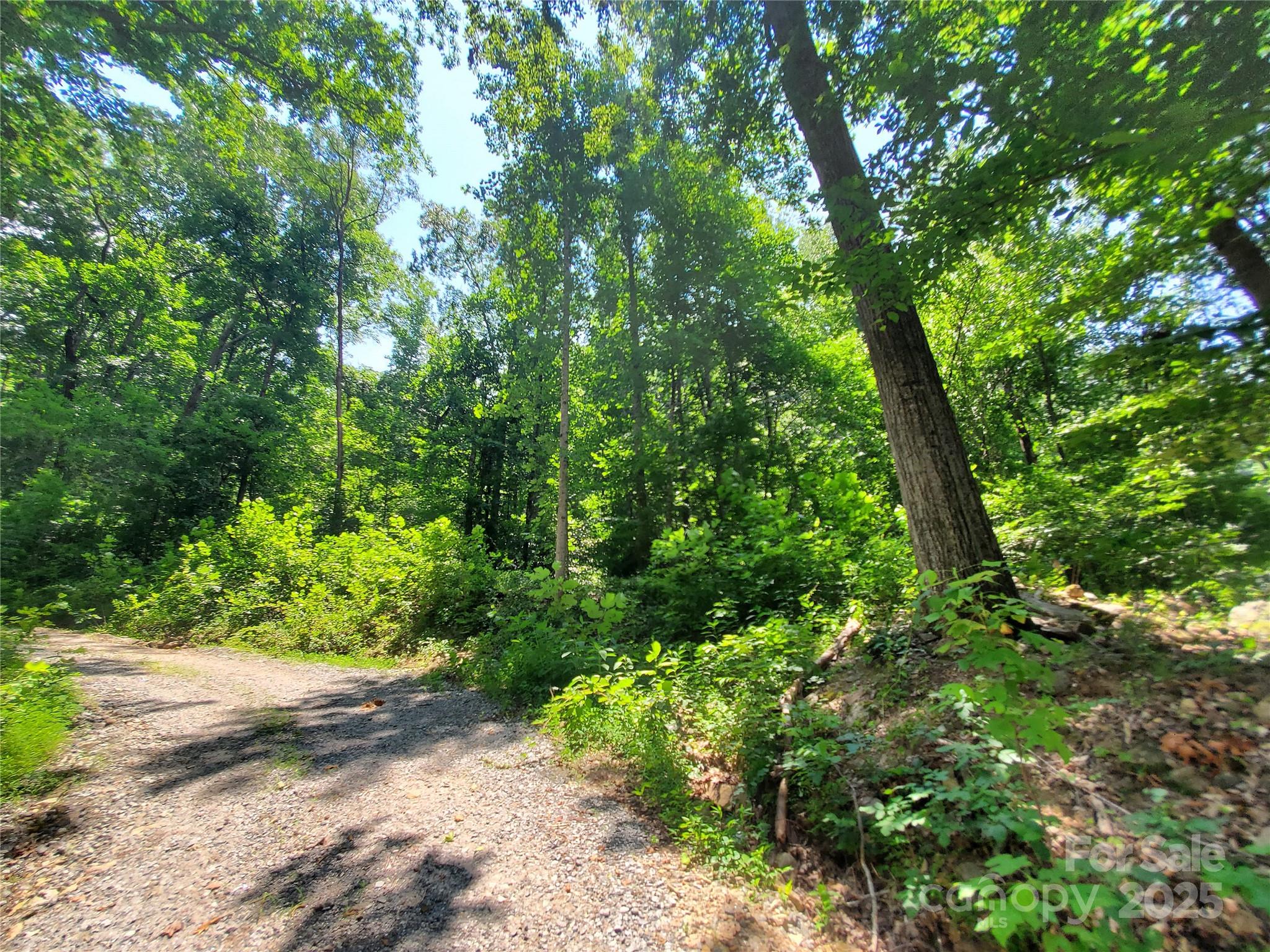 000 Green River Cove Road Property Photo 15