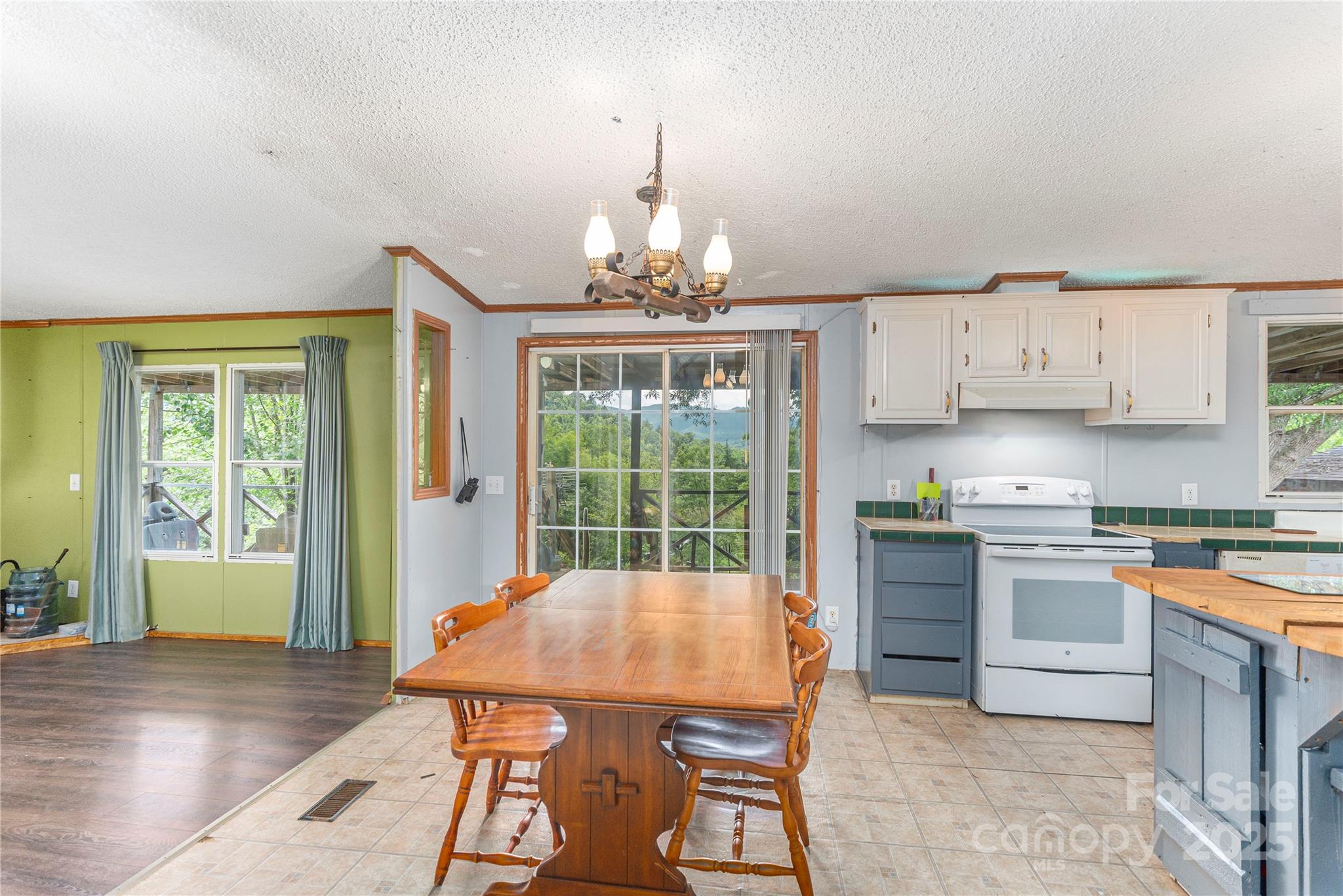 495 Courtney Lane Property Photo 5