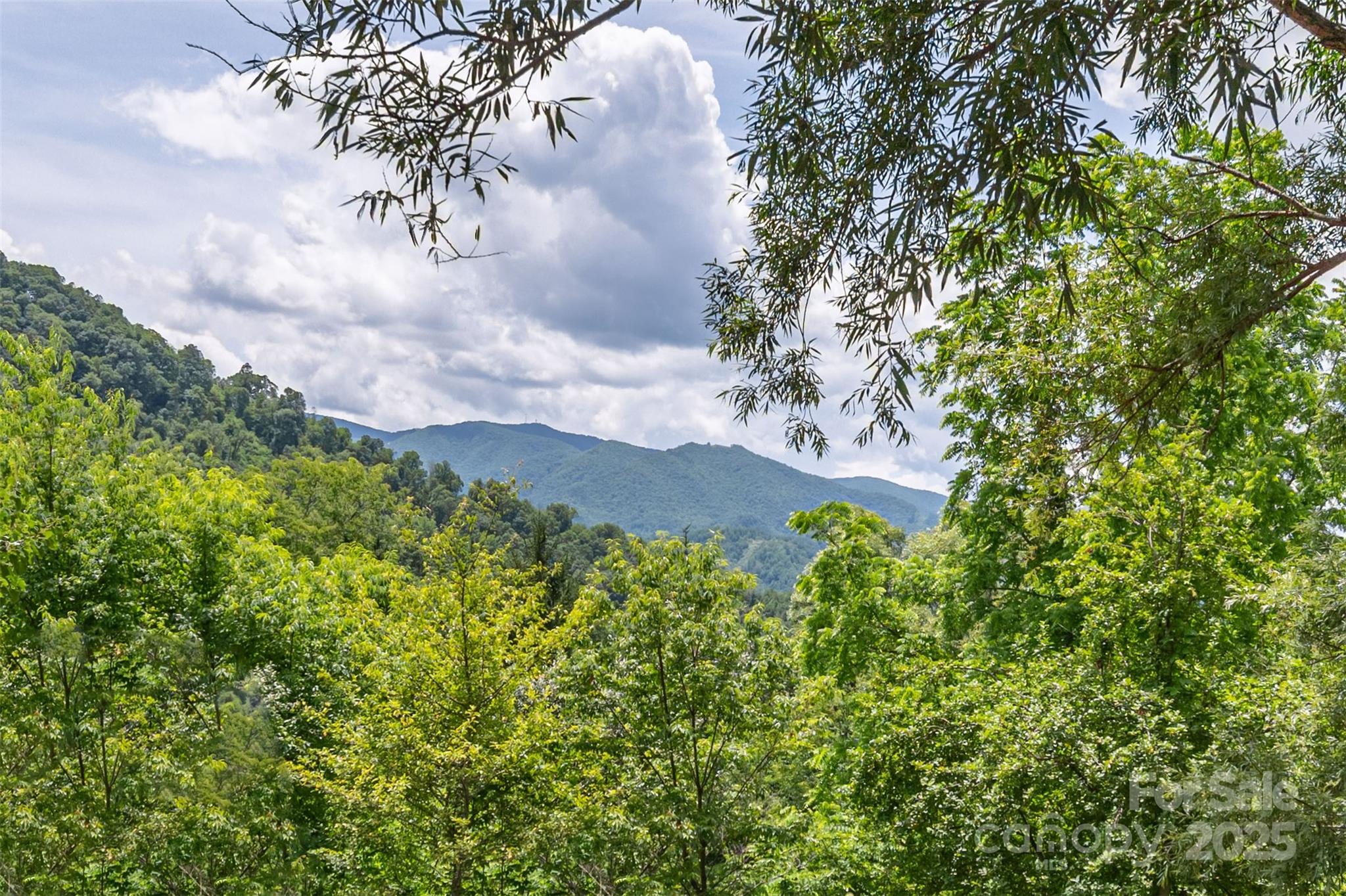 495 Courtney Lane Property Photo 16