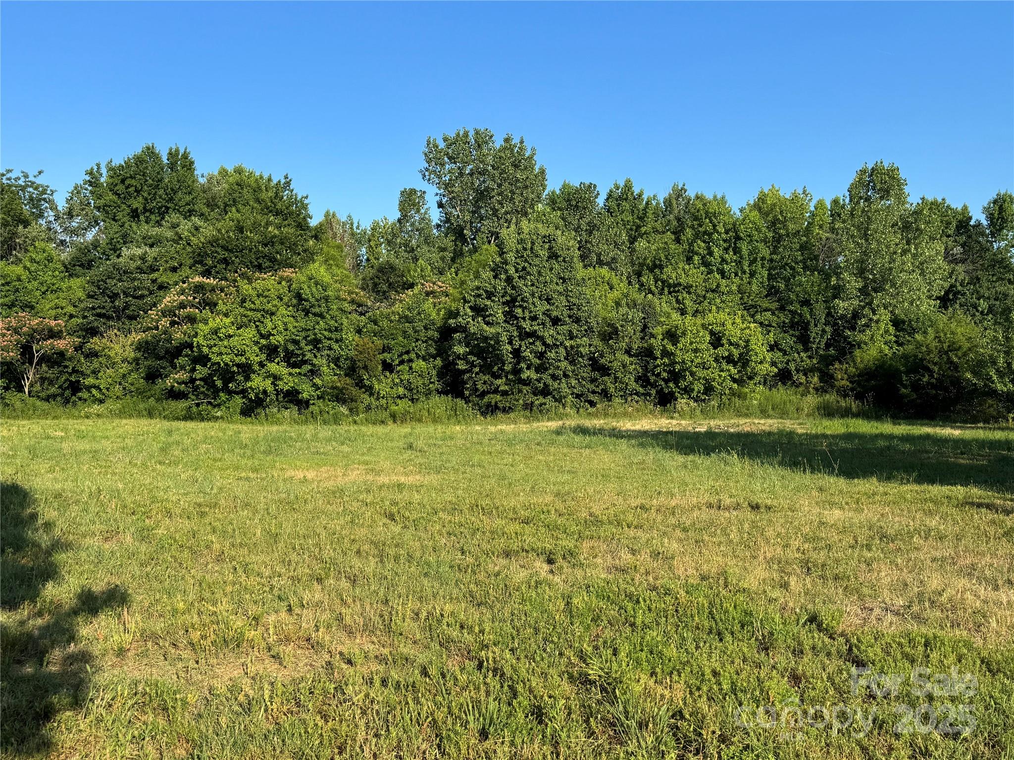 2842 Gray Fox Road Property Photo 1