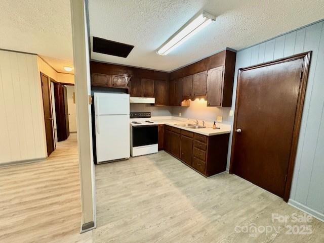 124/126 Polly Street Property Photo 7
